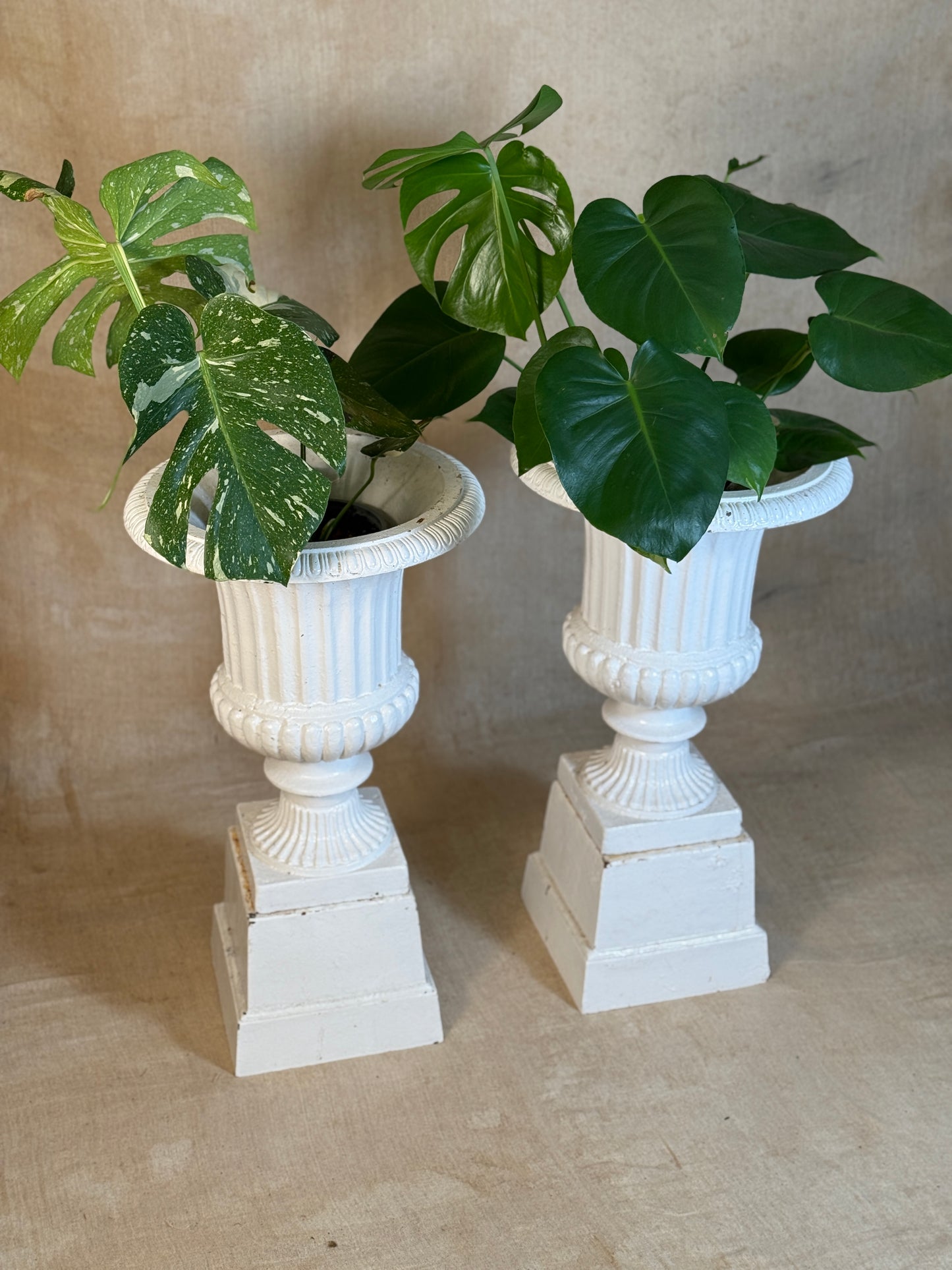 Cast Iron Garden Urns on Plinths