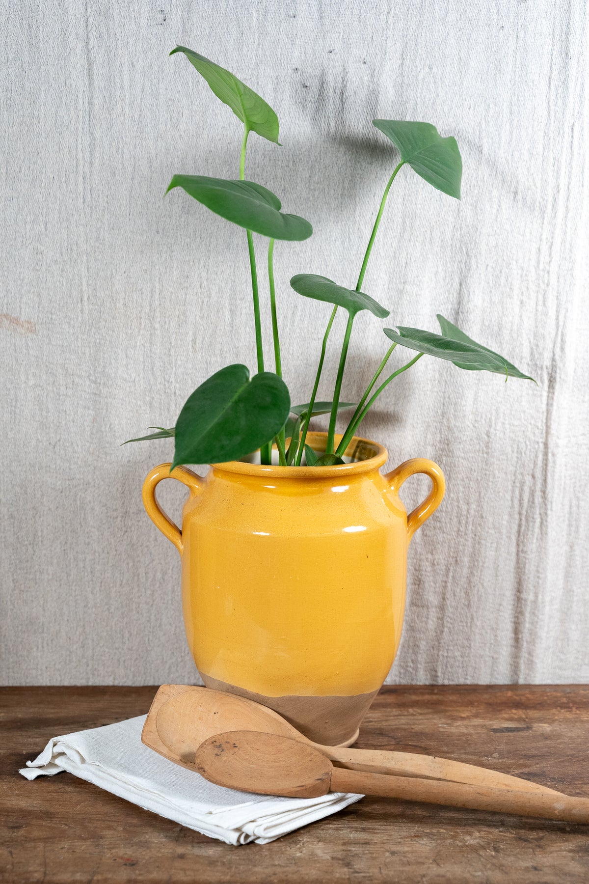 Yellow Demi glazed Confit Pot