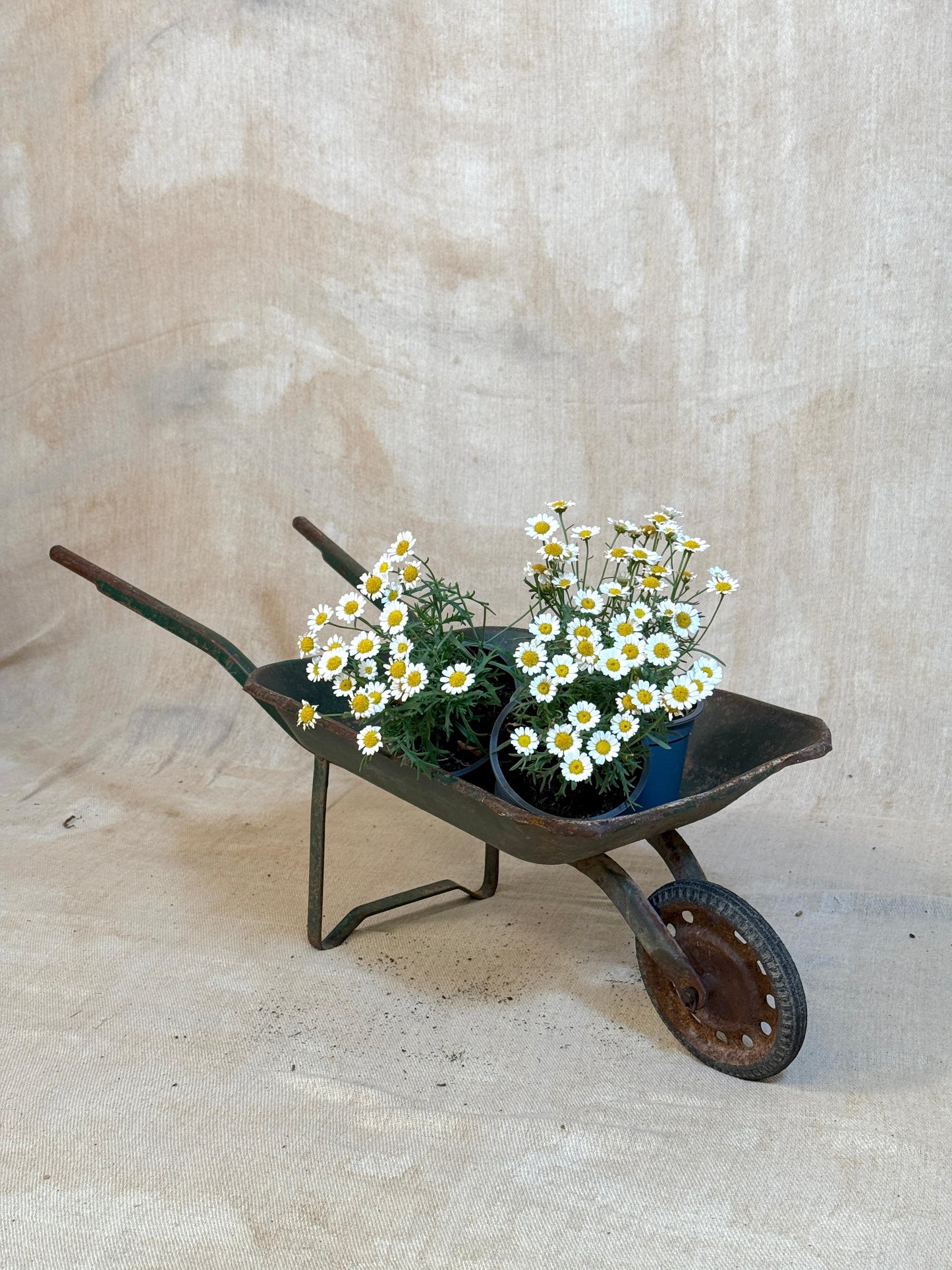Vintage French Children's Wheelbarrow