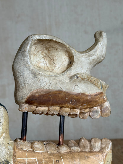 An antique dental model or anatomical specimen showing a human maxillary bone with teeth, mounted on a base with two black metal supports, photographed against a neutral gray background.