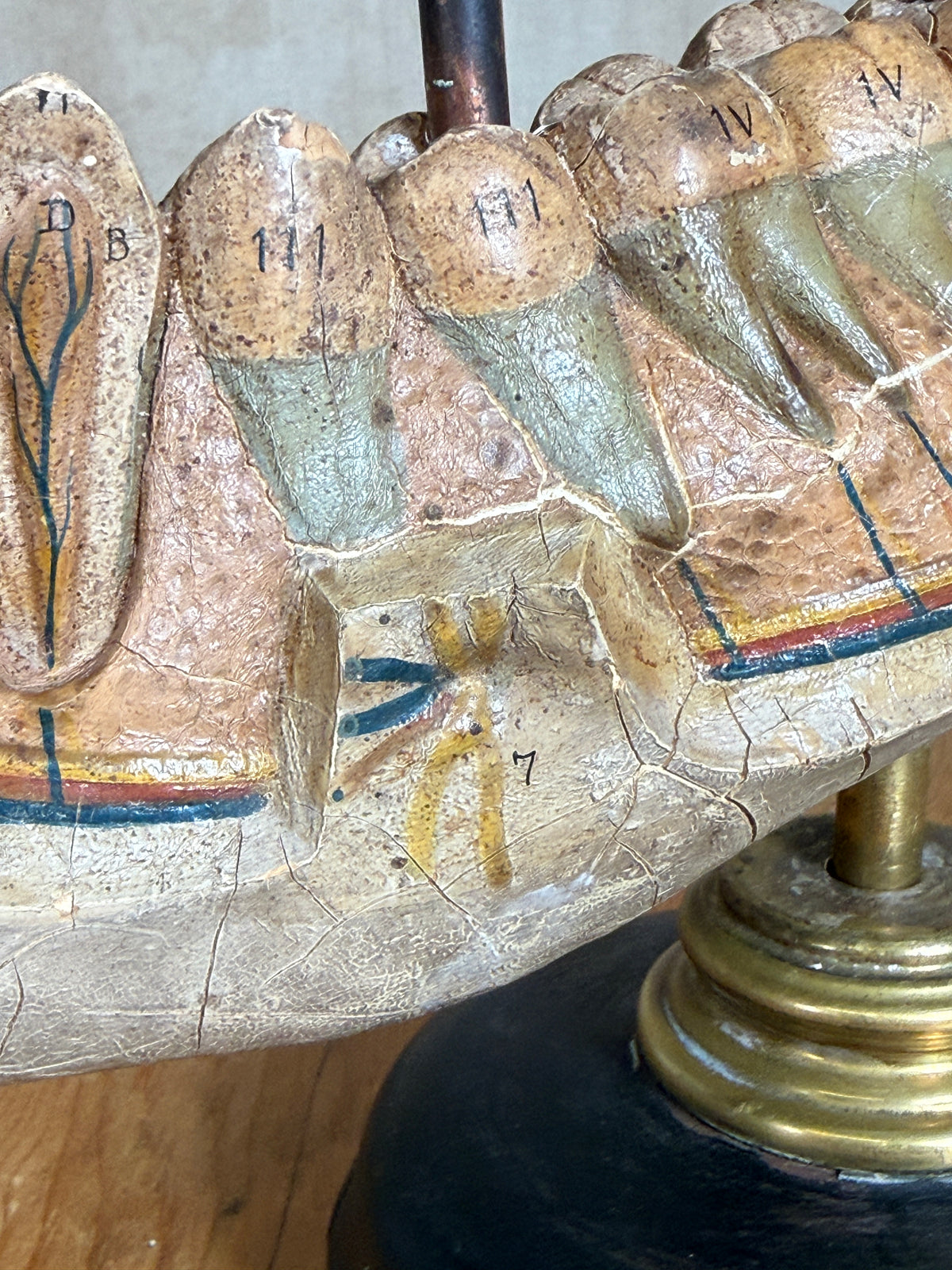Close-up of an antique wooden dental model showing a cross-section of a human jaw with labeled teeth and dental anatomy details, mounted on a brass and black stand.