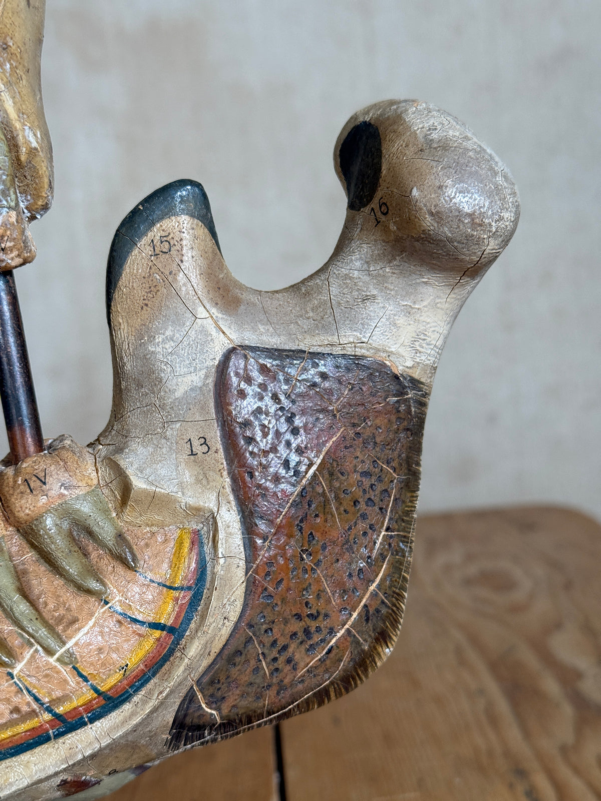 Close-up of a vintage wooden anatomical model showing a detailed section of a foot or foot skeleton with painted details and handwritten numbers.