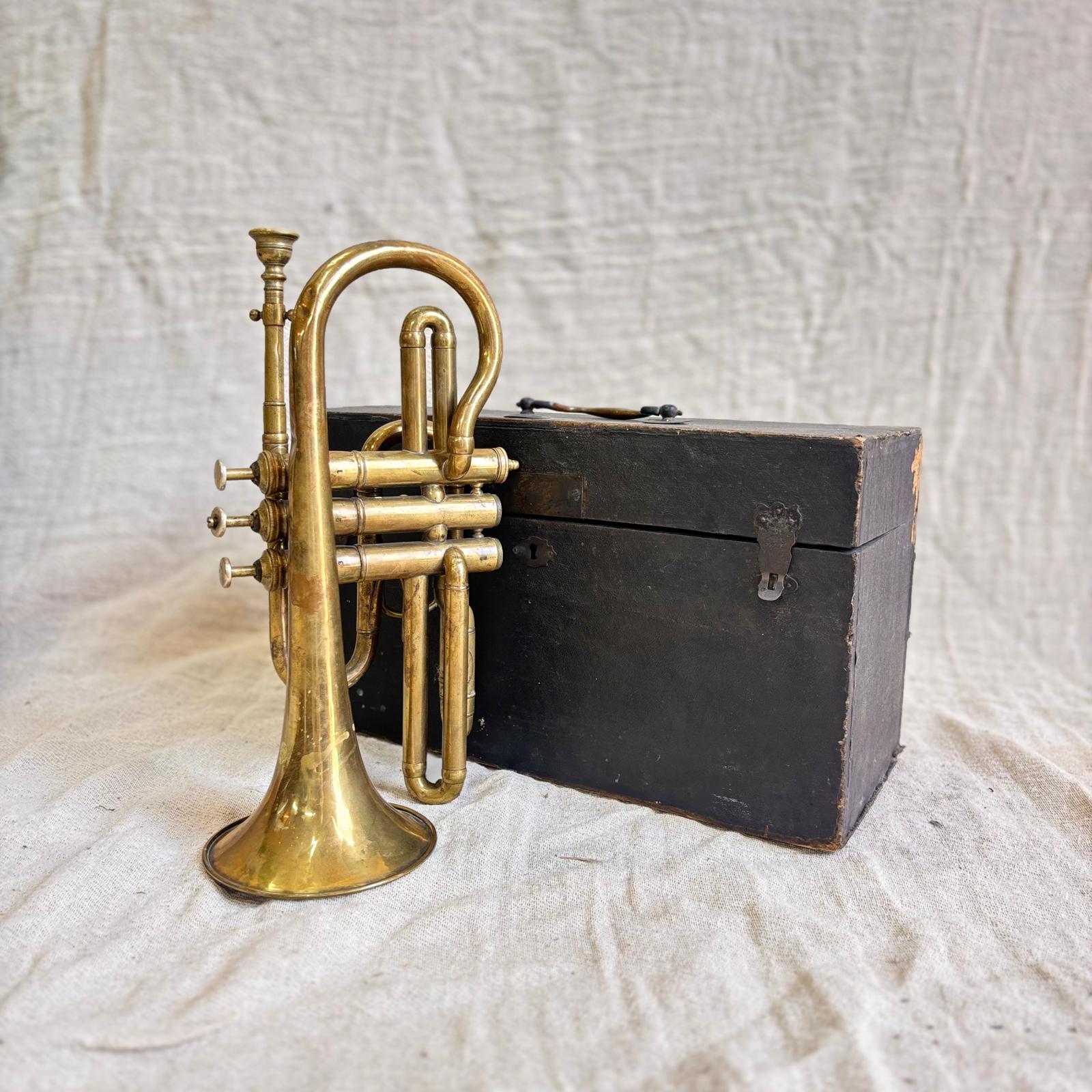 Vintage brass cornet with a black case on a textured white background