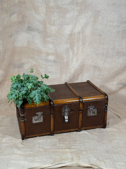 Bentwood Steamer Trunk with plant