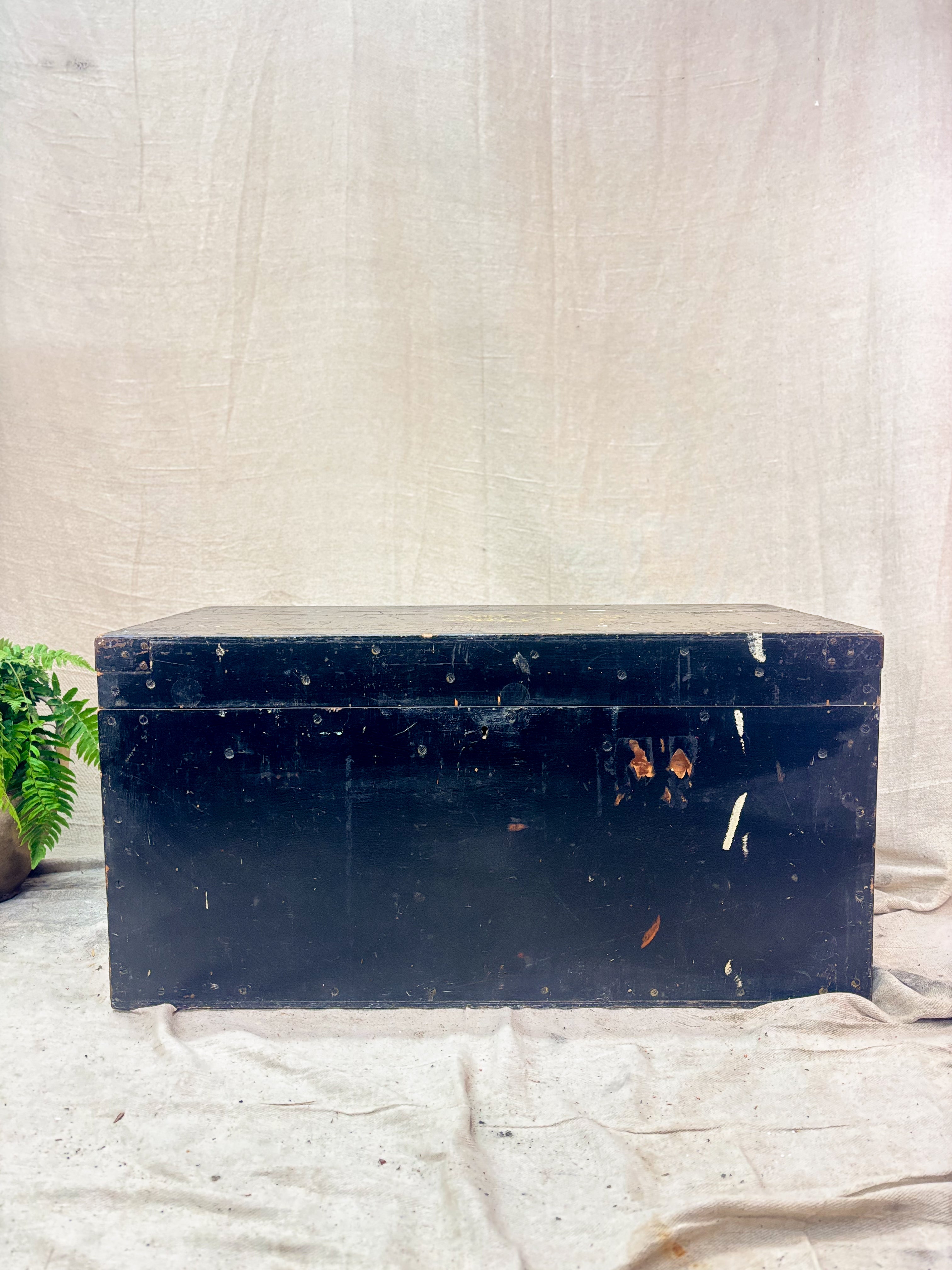 Vintage black trunk on a textured surface with a neutral background