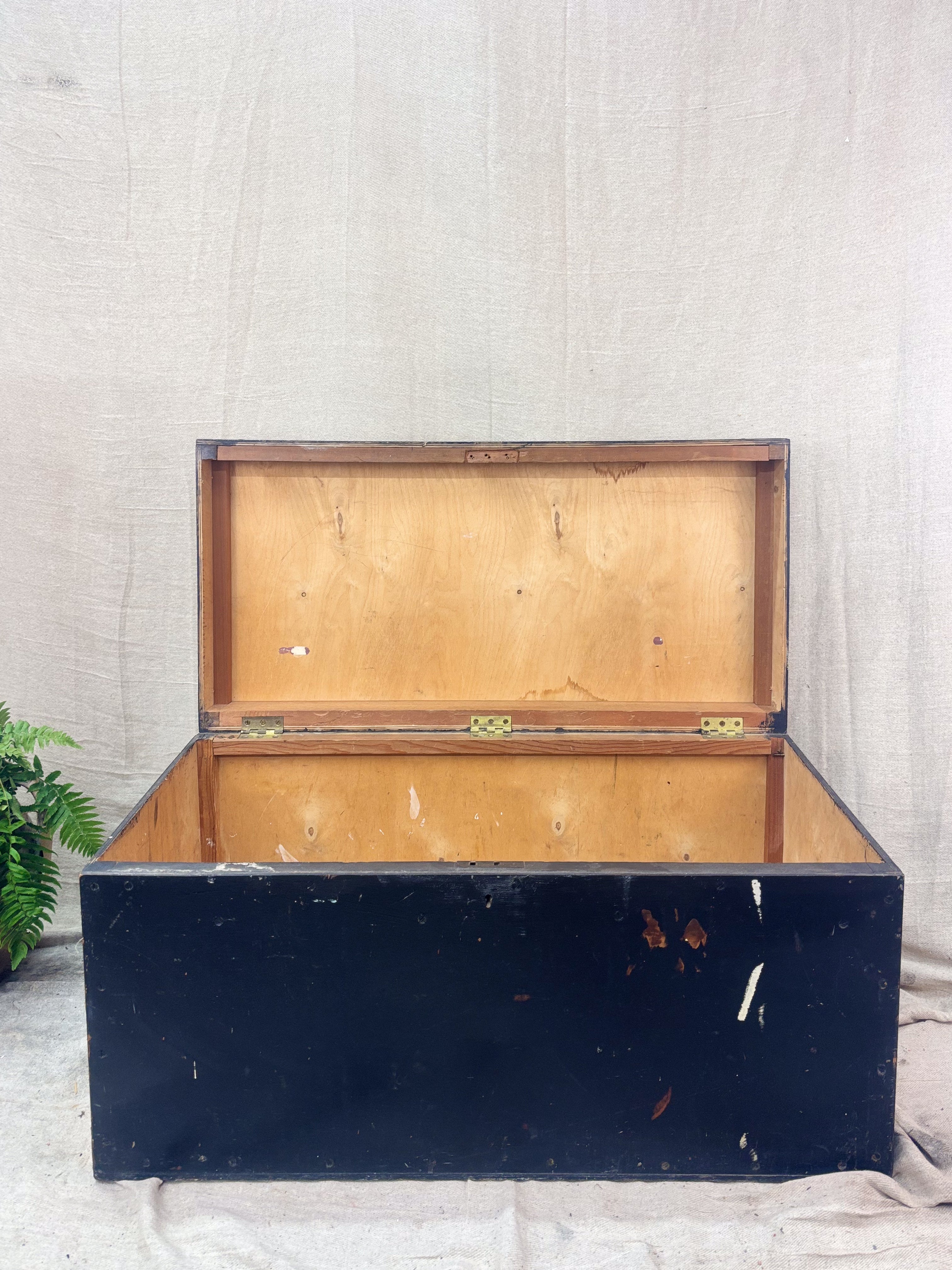 Vintage wooden trunk with black base on a textured white background