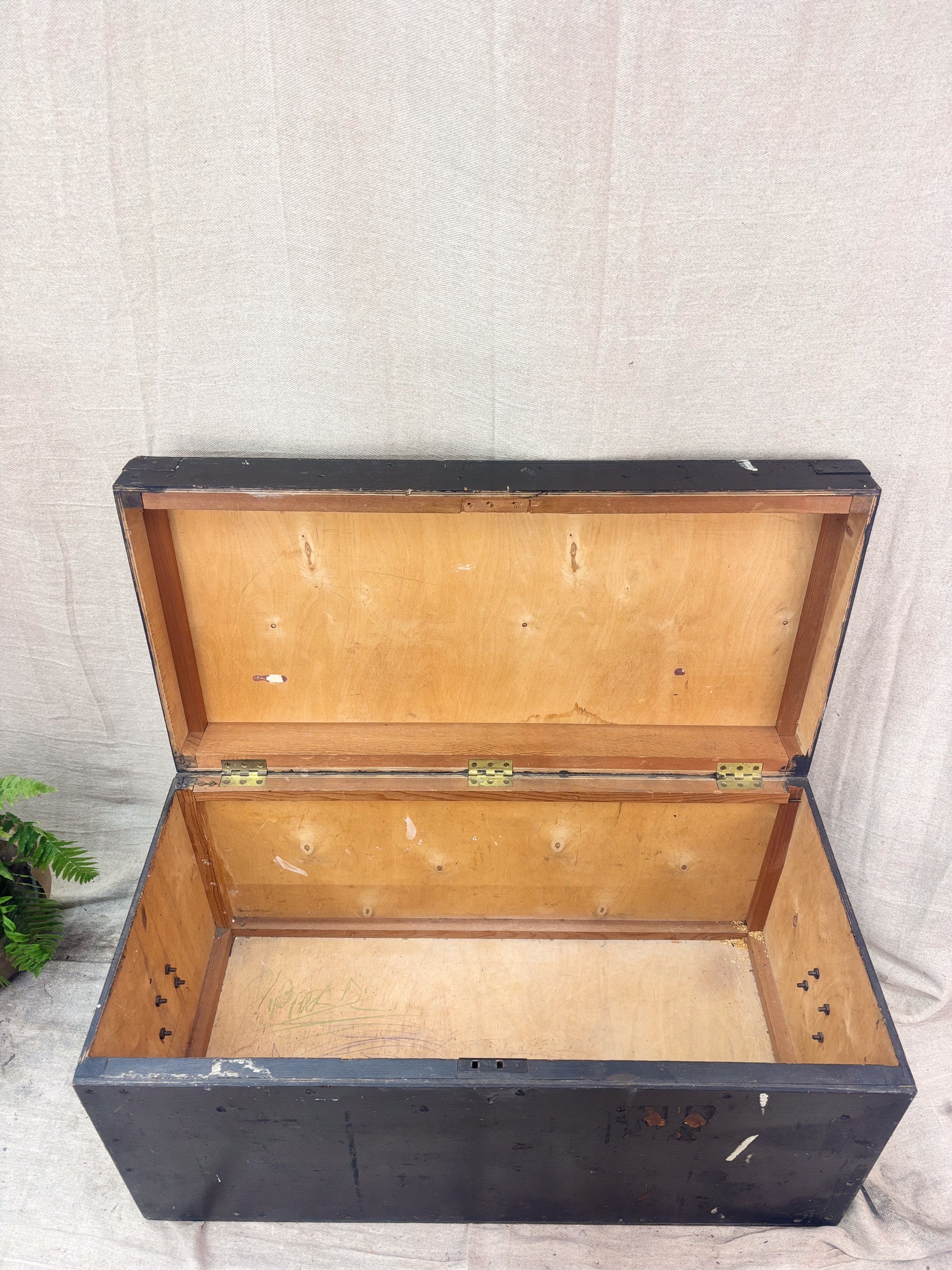Wooden trunk with black exterior and open lid on a textured white background