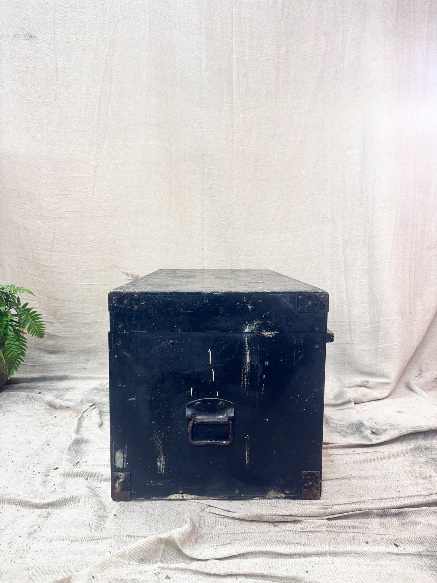 Vintage black metal trunk on a textured white surface with a plant in the corner.