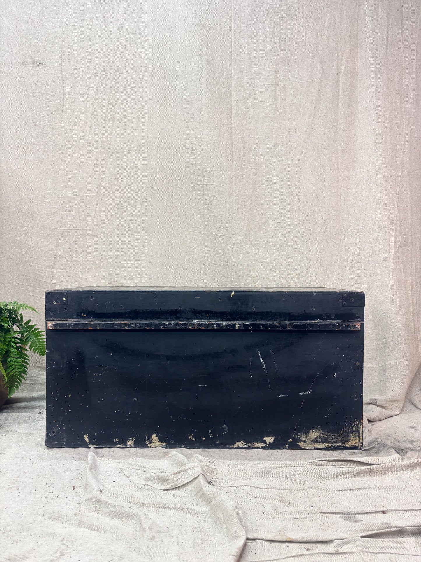 Black rectangular trunk on a textured white surface with a plant in the corner