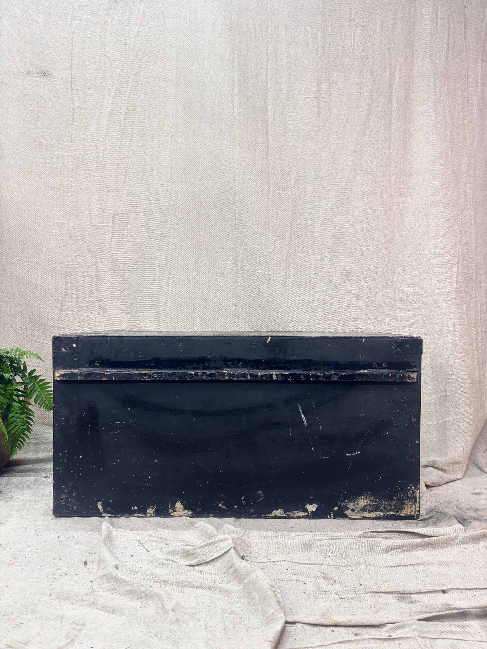 Black rectangular trunk on a textured white surface with a plant in the corner