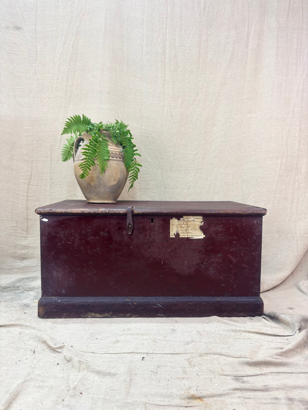 Antique trunk with a plant on top against a textured white background
