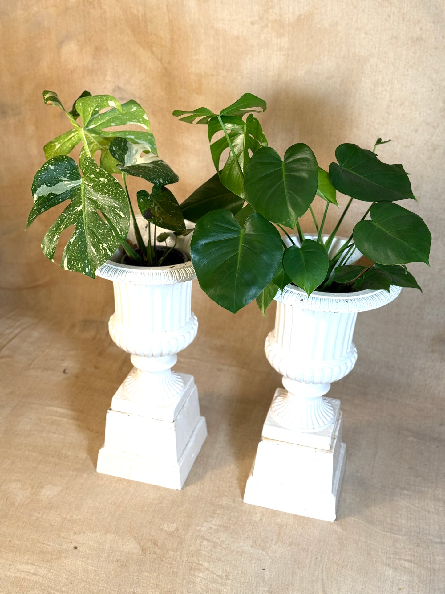 Cast Iron Garden Urns on Plinths