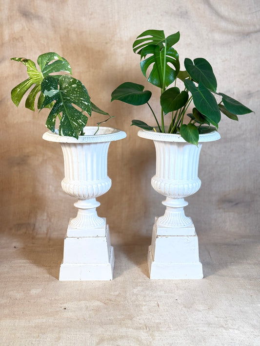 Cast Iron Garden Urns on Plinths