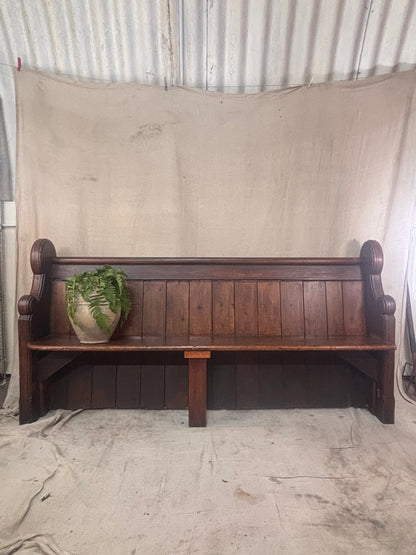 Wooden bench with a plant on a rustic background