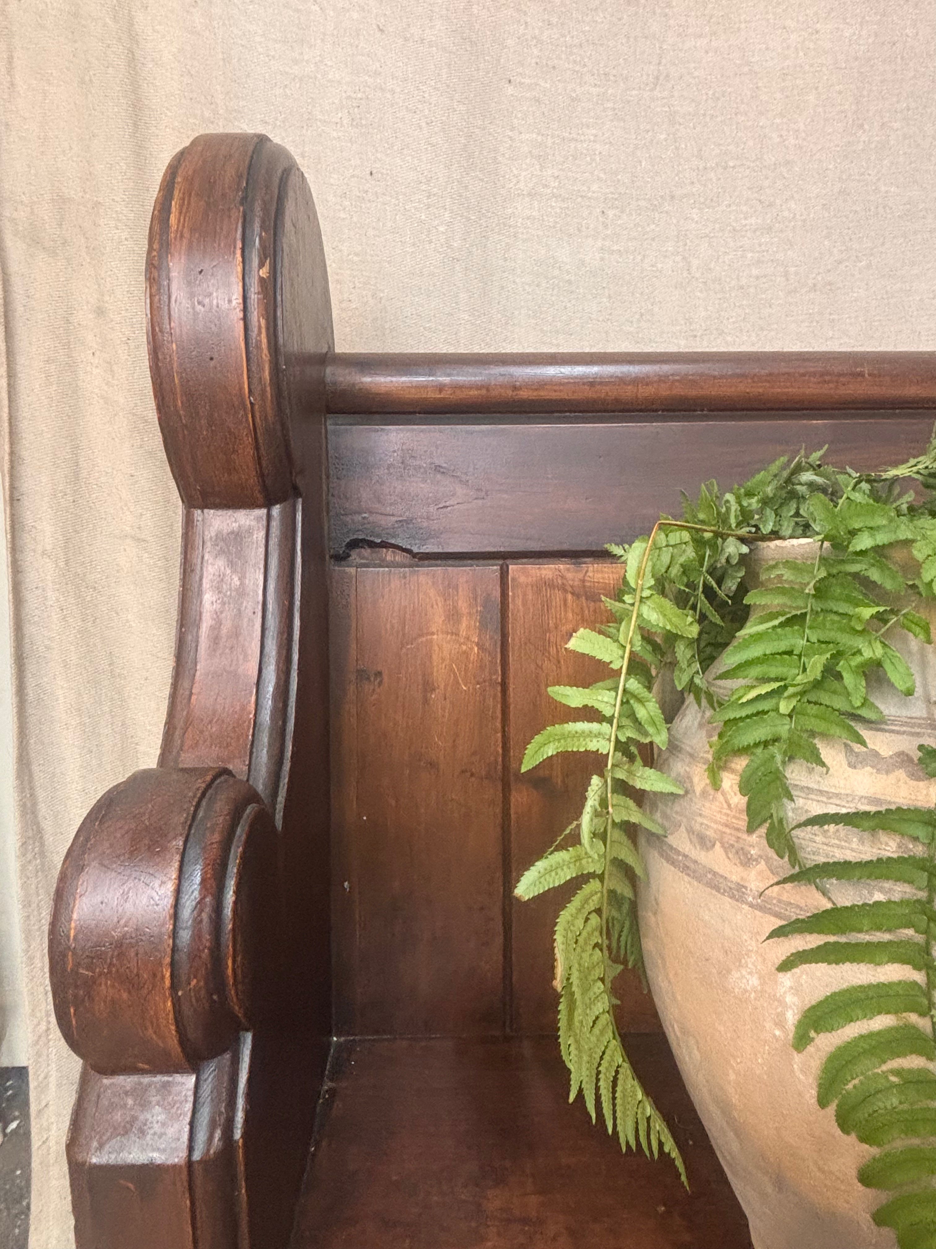 Wooden bench with a decorative plant on a textured wall background
