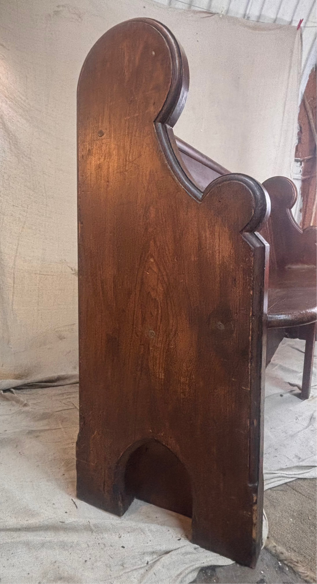 Wooden bench with a plant on a rustic background