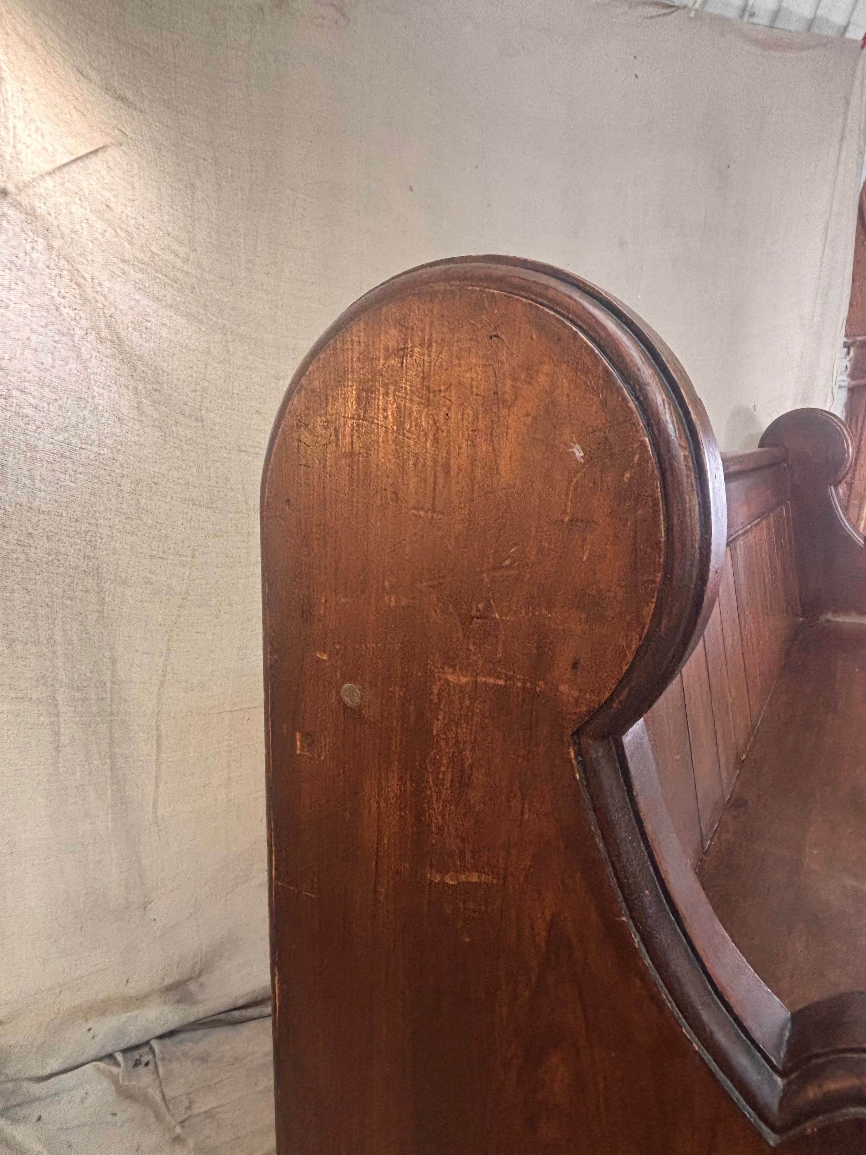 Wooden bench with a plant on a rustic background