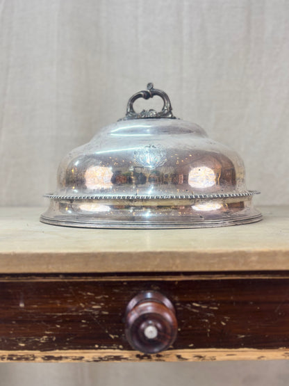 Silver dome-shaped object on a wooden surface with a neutral background