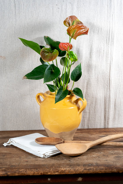 A yellow ceramic vase with two side handles holding an anthurium plant with green leaves and reddish-brown flowers, set on a rustic wooden table with a white cloth and wooden spoons against a light textured wall.