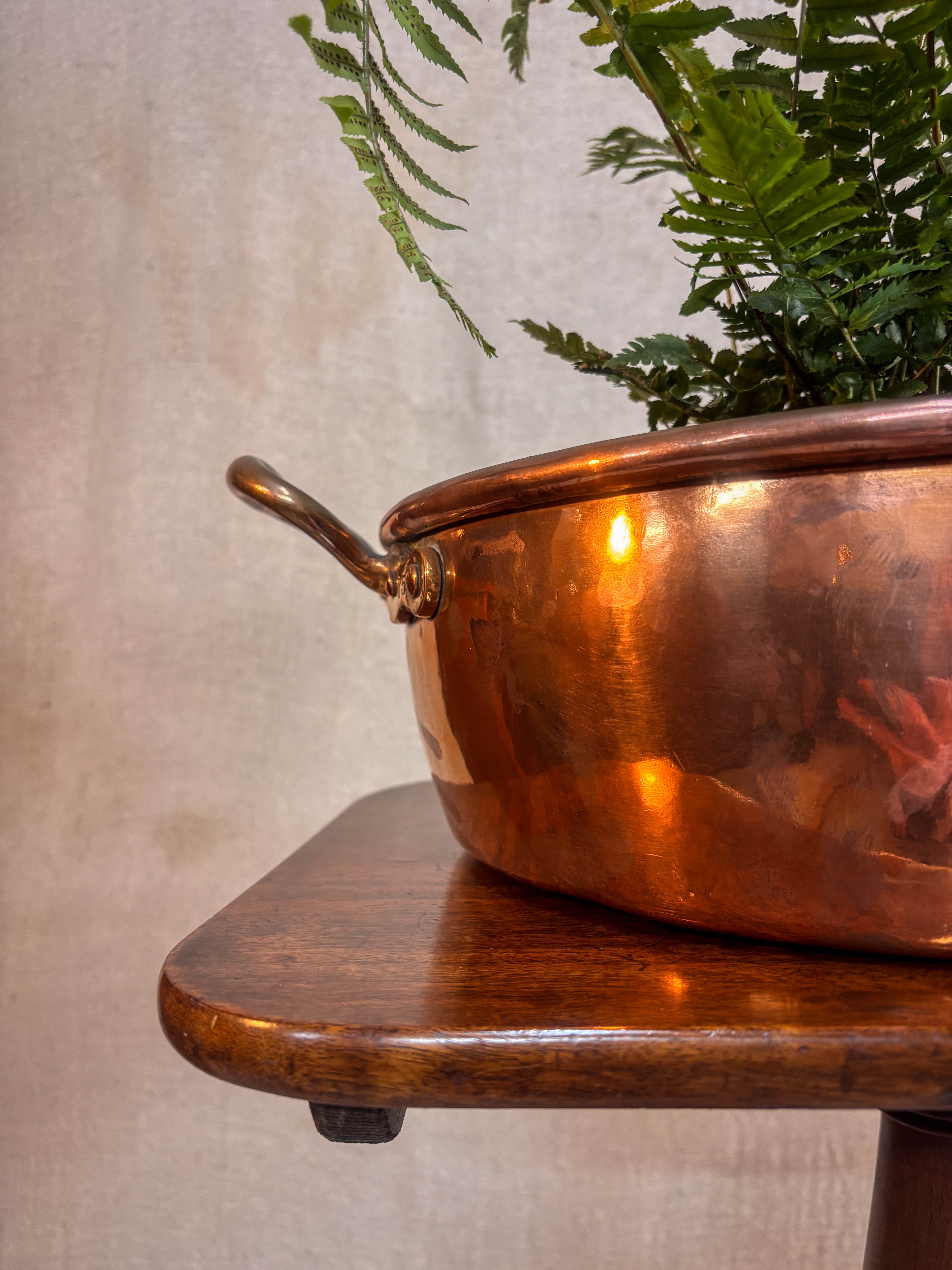Copper pan on a wooden surface with a plant in the background