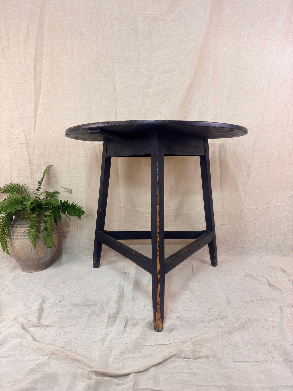 Round wooden table with a plant on a textured white background