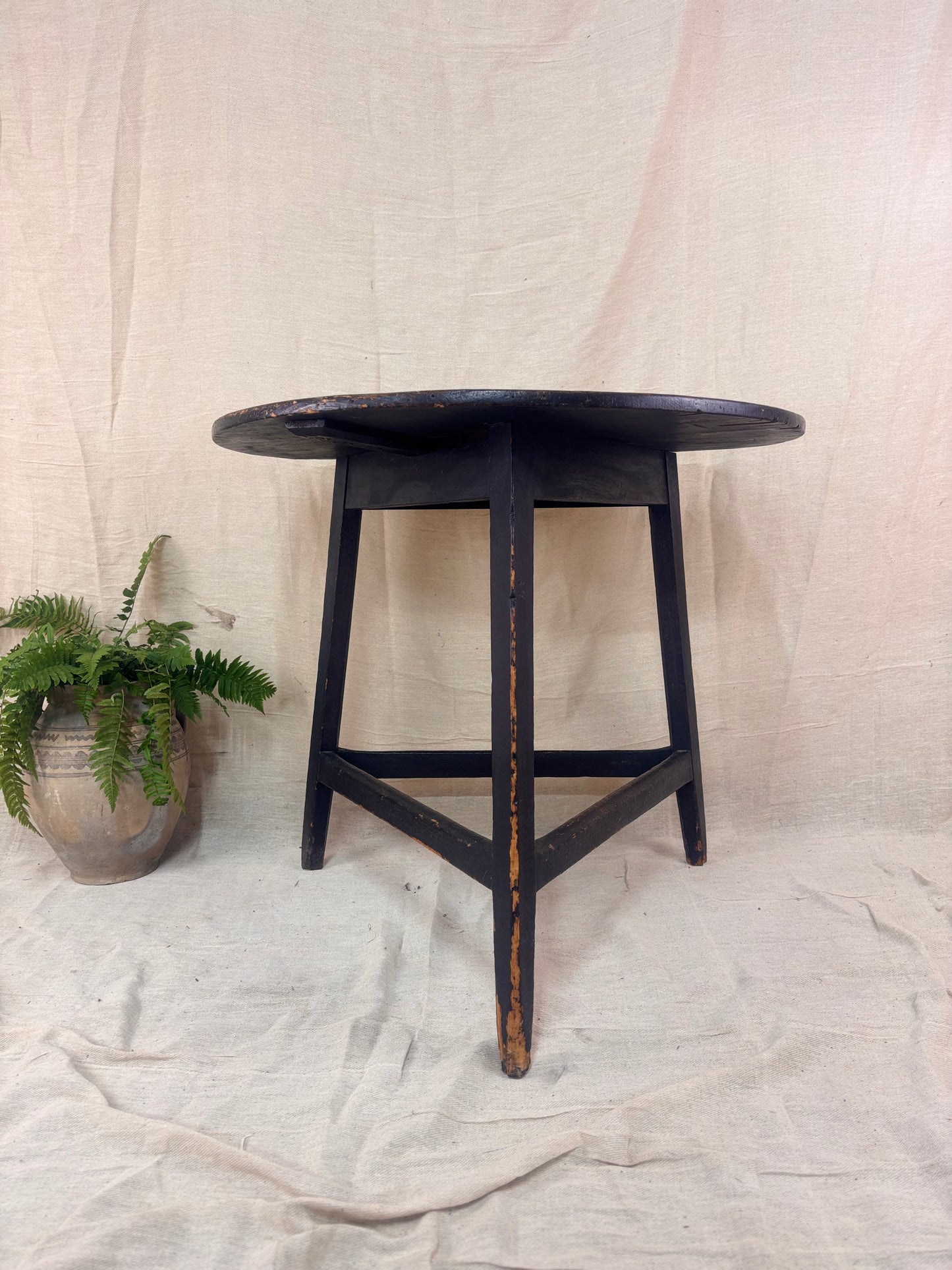 Round wooden table with a plant on a textured white background