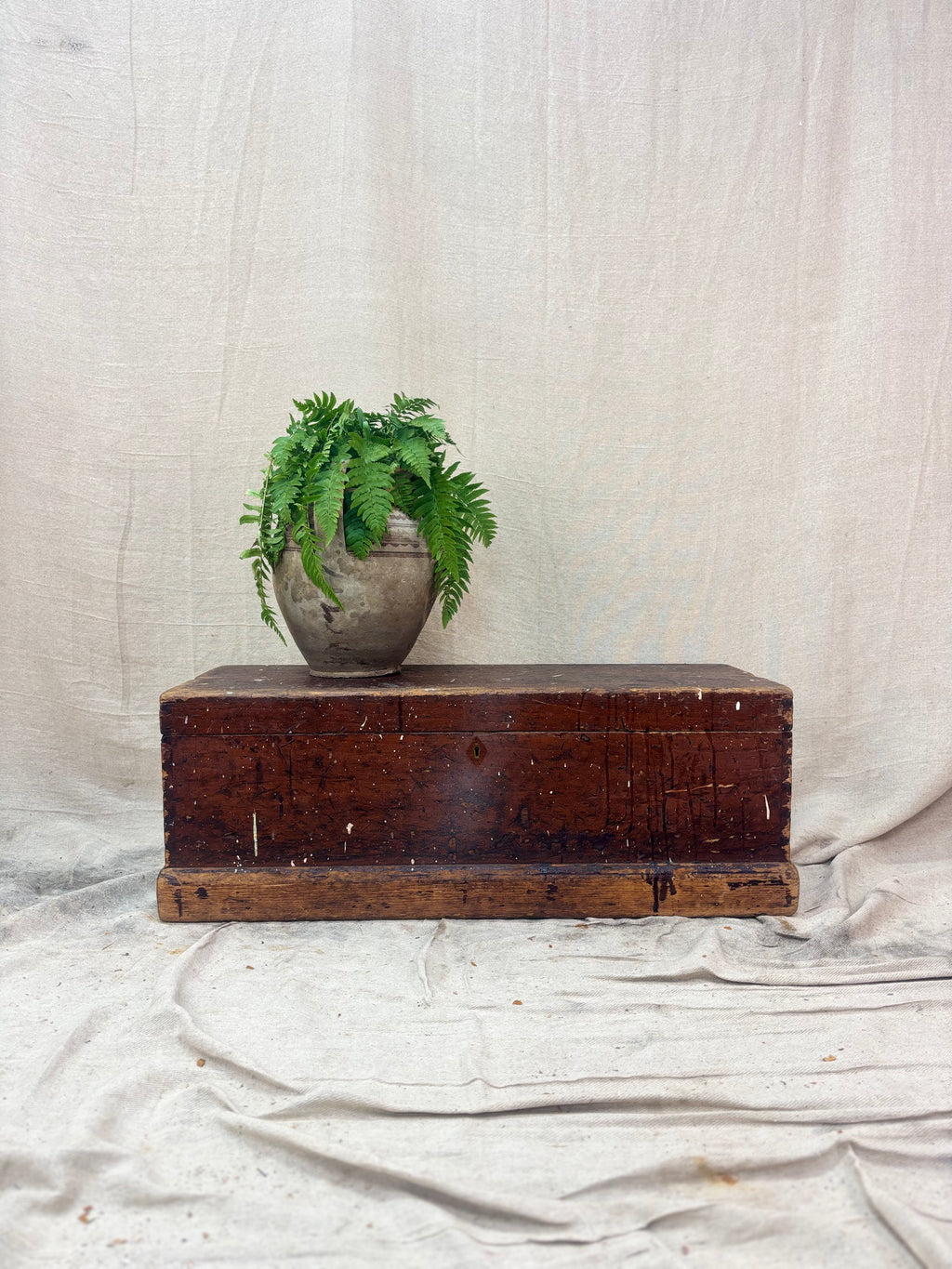 Late Victorian Pine Merchant’s Tool Chest / Kist