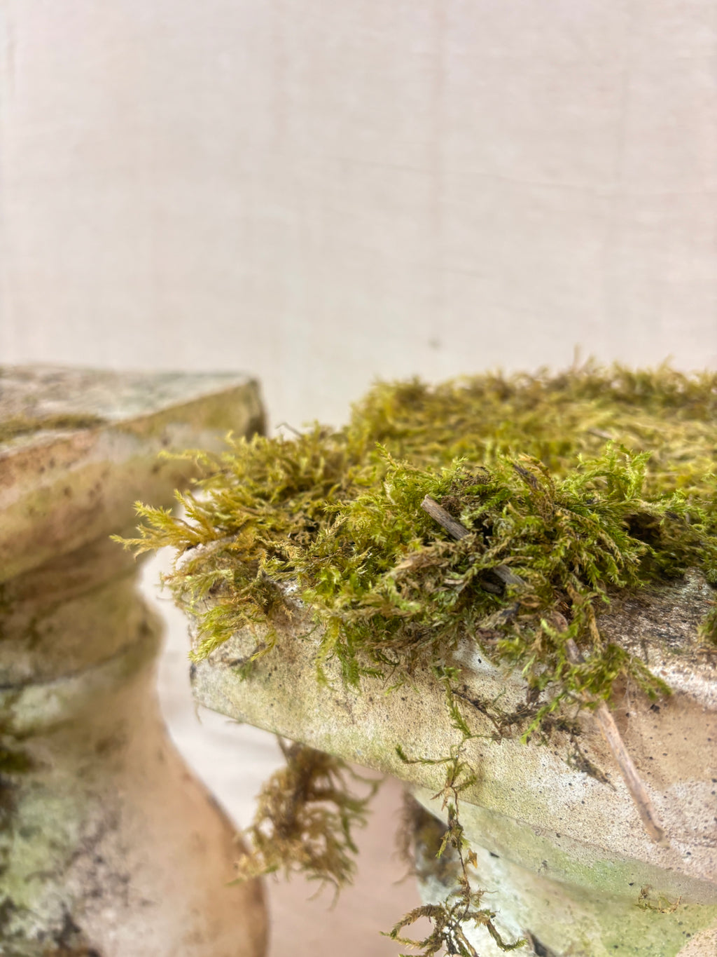 Vintage stone garden pedestals with a classic baluster shape, stepped square bases, and flat square tops, finished in weathered pale gray stone with natural moss and lichen growth.