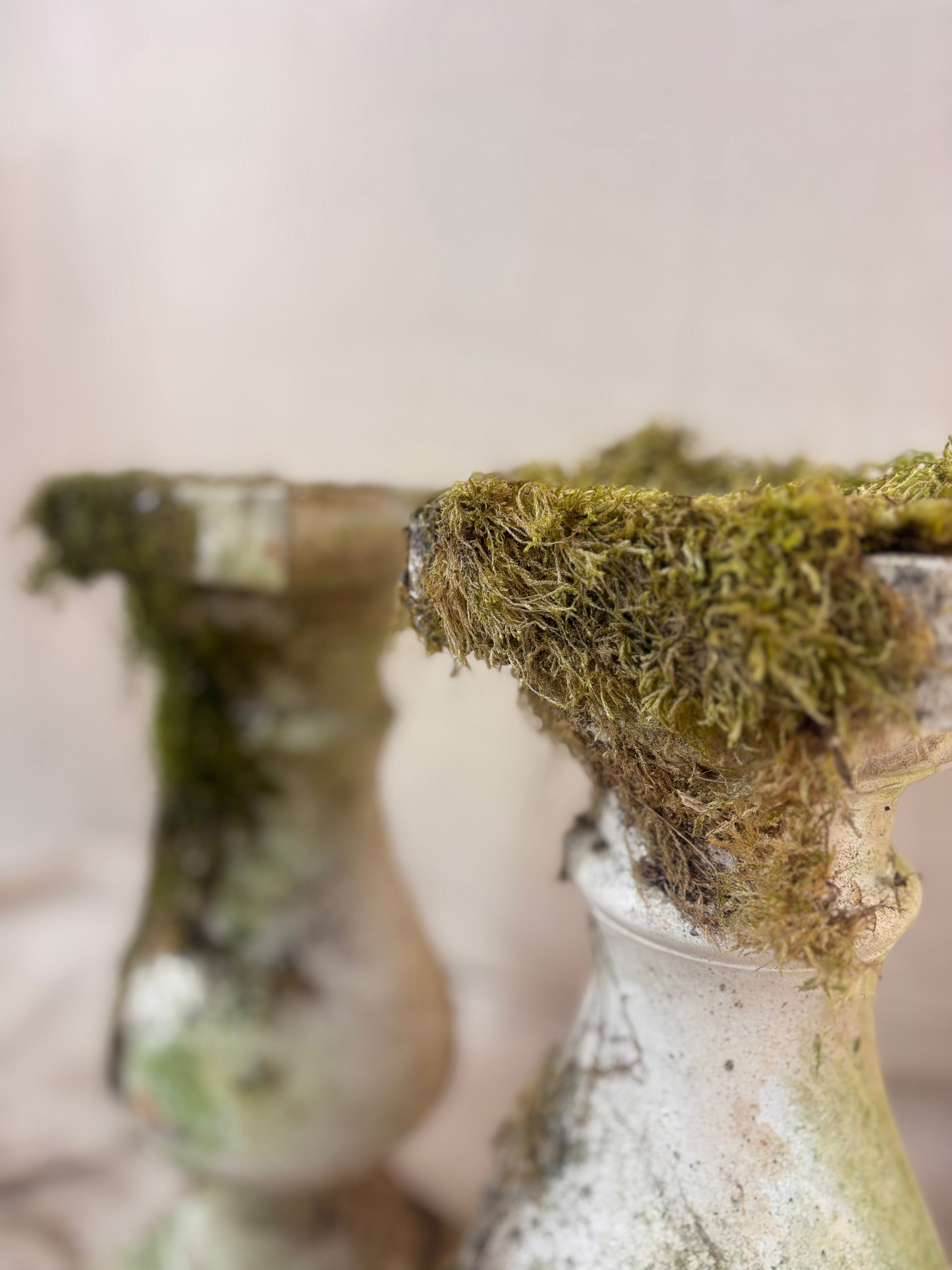 Vintage stone garden pedestals with a classic baluster shape, stepped square bases, and flat square tops, finished in weathered pale gray stone with natural moss and lichen growth.