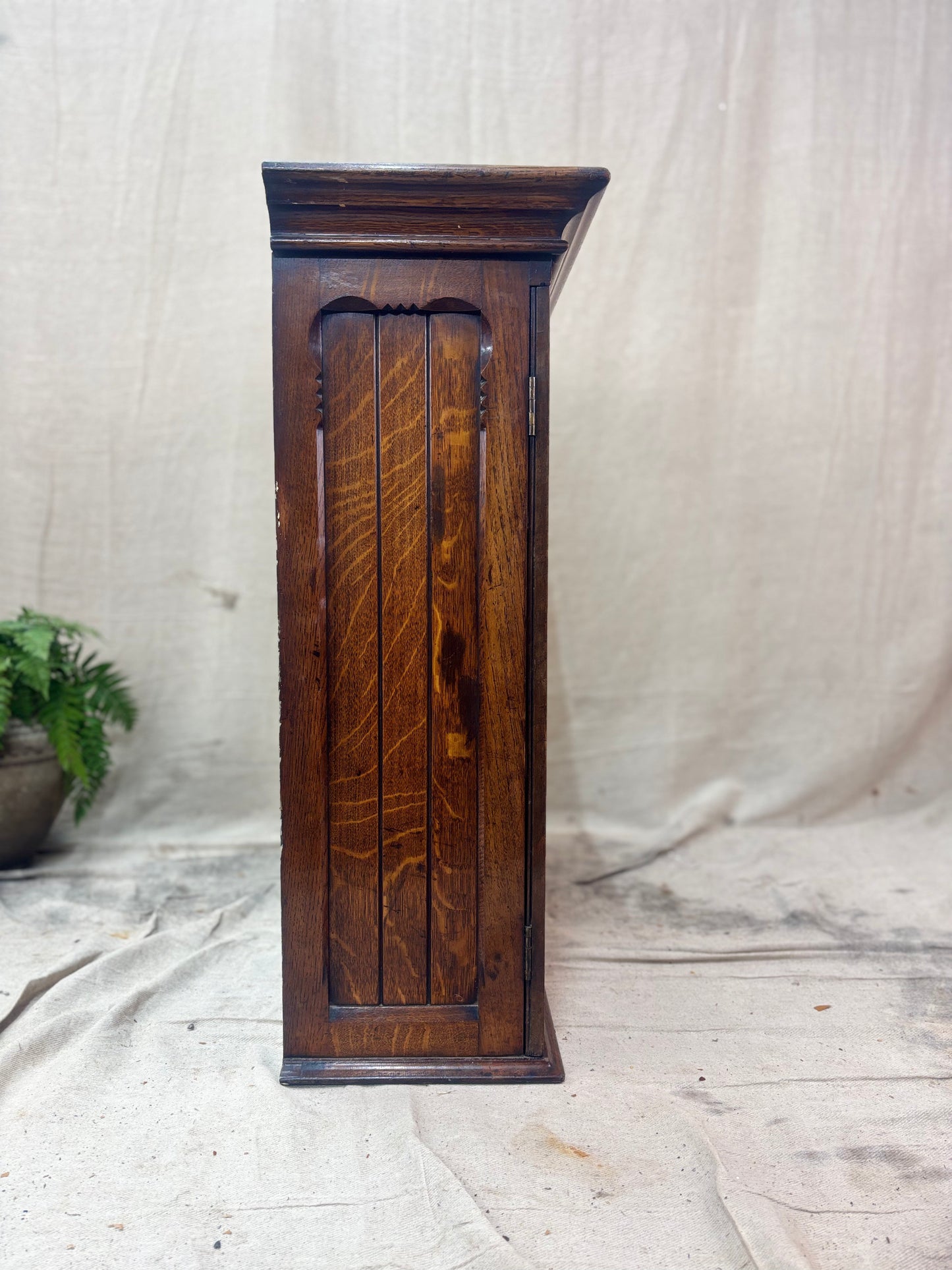Wooden cabinet with a plant on a textured white background