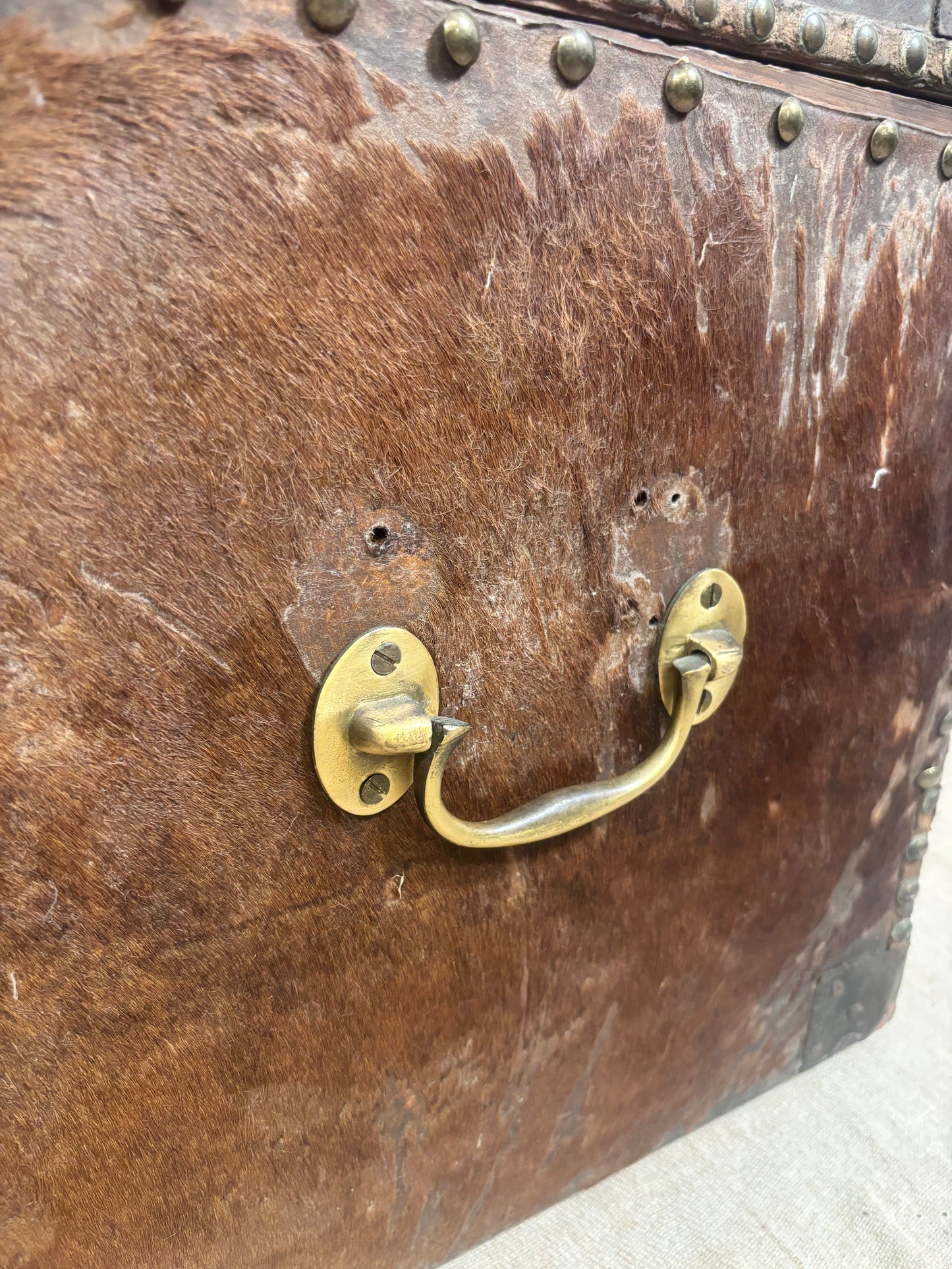 Close-up of a vintage brown leather or hide-covered trunk with brass hardware and nail trim.
