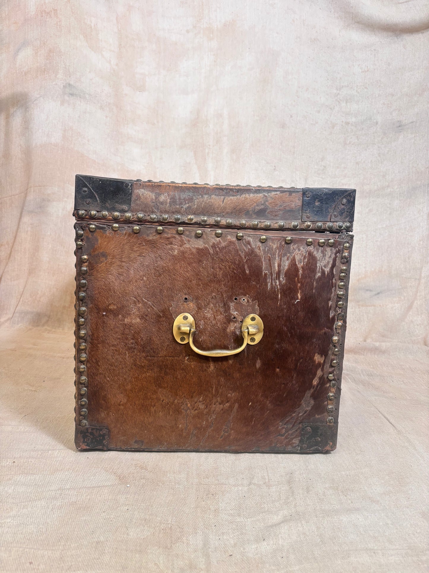 An antique brown leather storage trunk or box with brass hardware, featuring a central brass handle and matching brass studs along the edges, set against a neutral draped fabric backdrop.