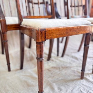 Elegant Mahogany Chairs