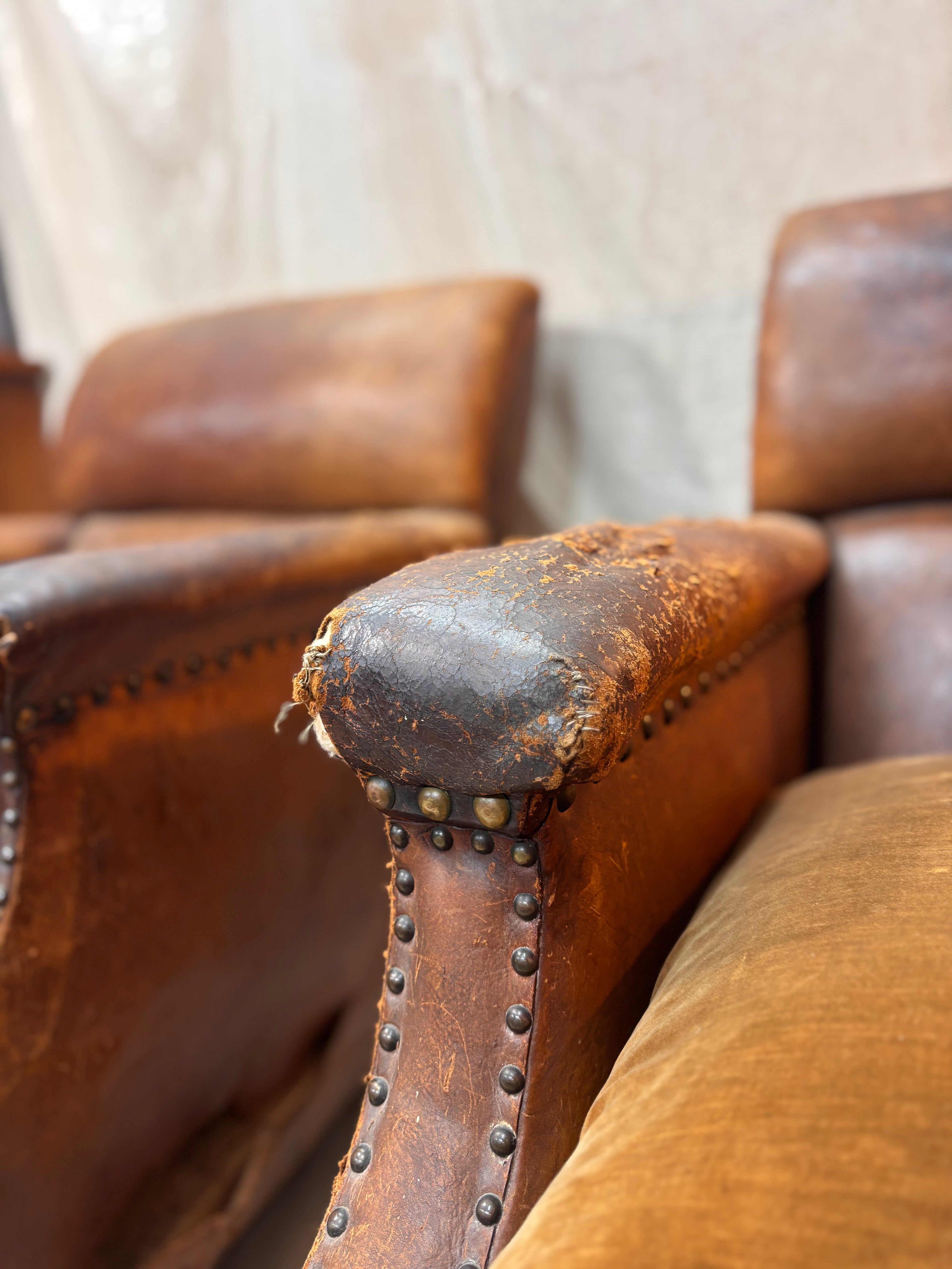 A Pair of Brown Leather Club Chairs.