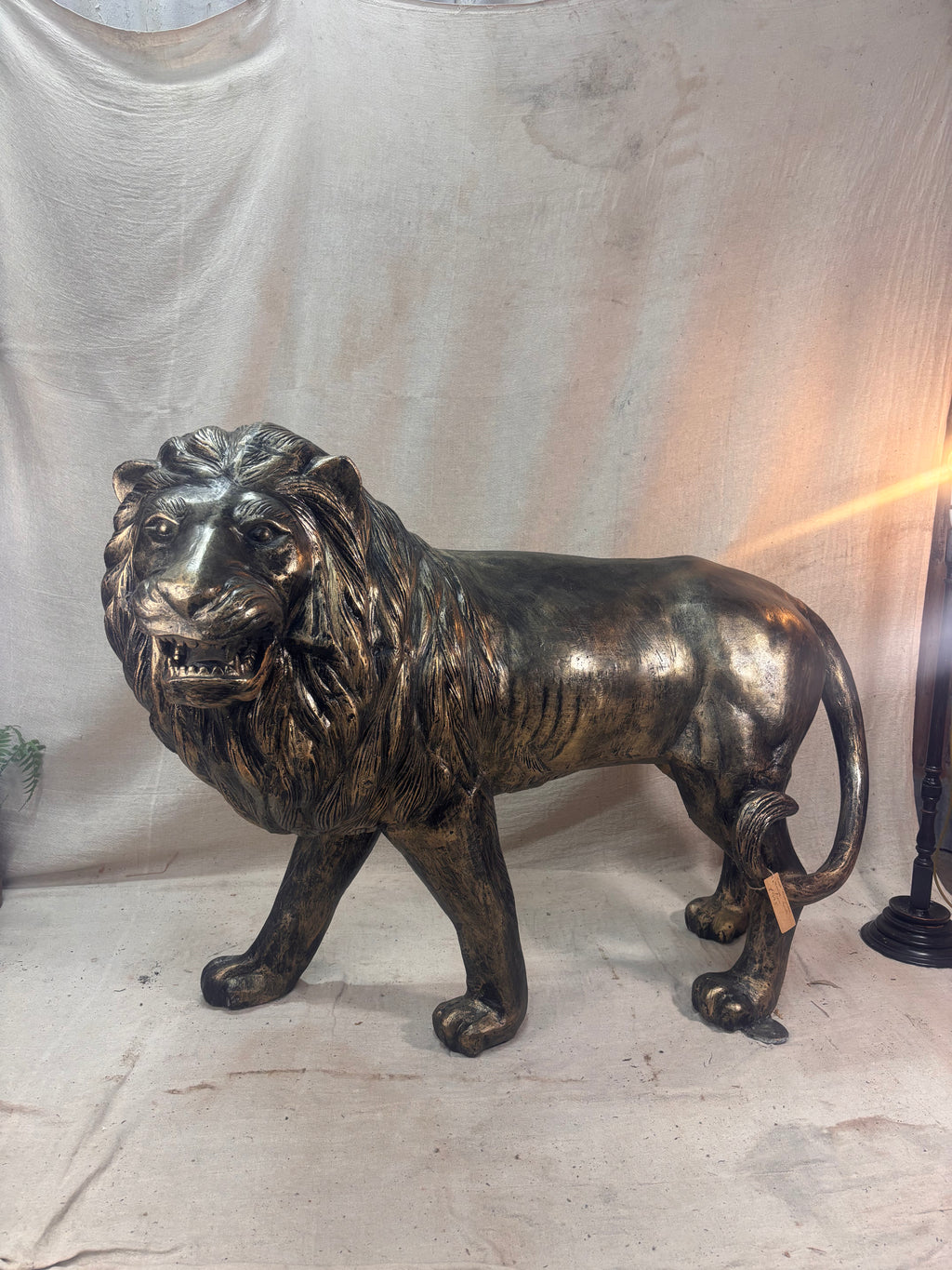 Bronze lion statue on a plain background