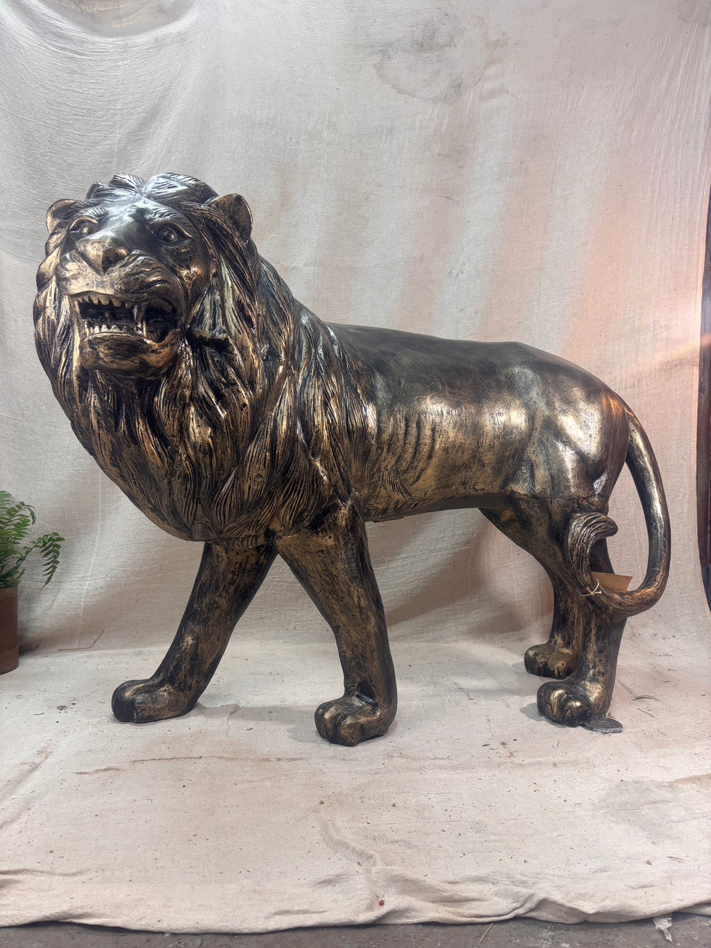 Bronze lion statue on a plain background