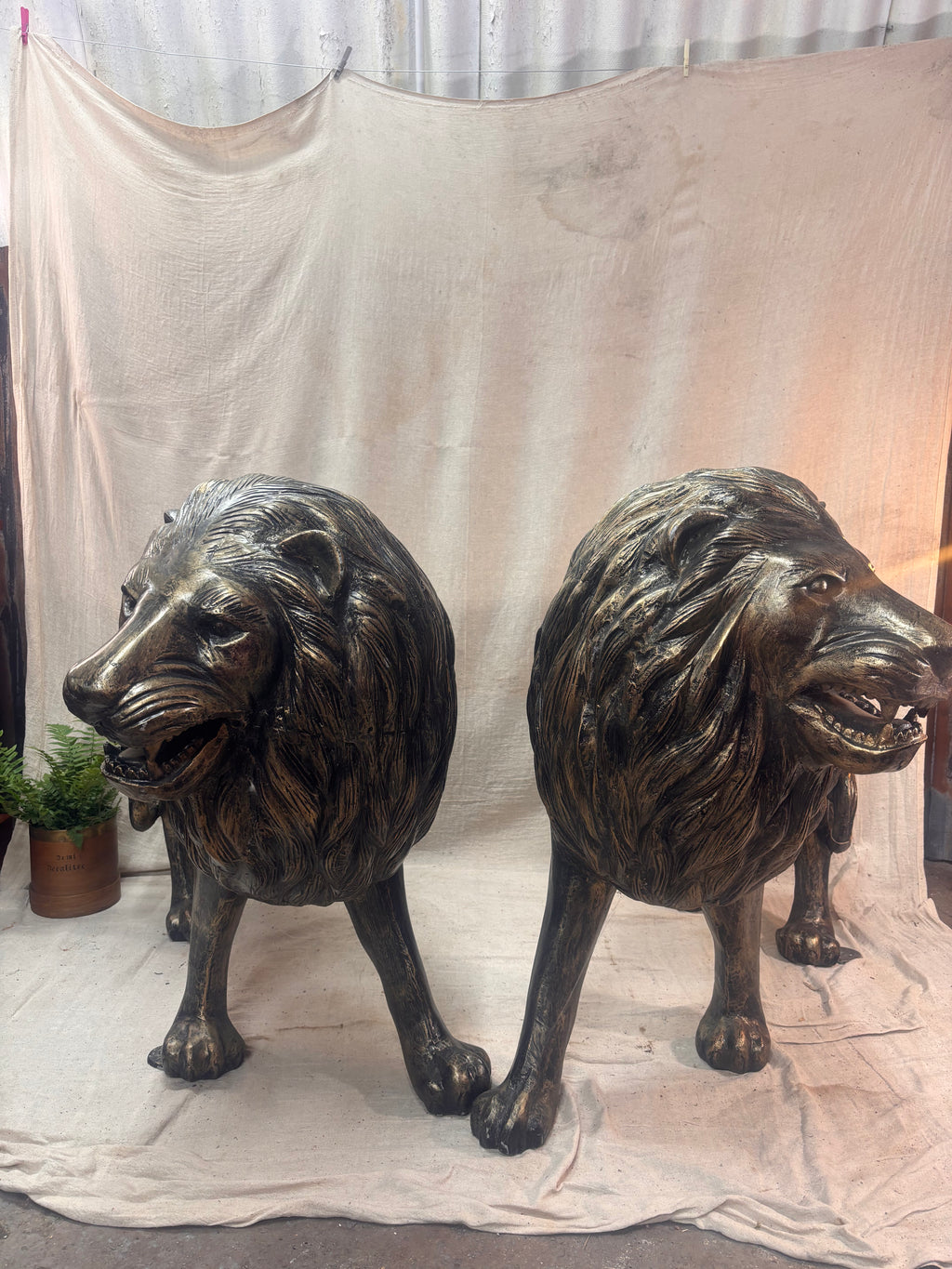 Two bronze lion statues on a plain background