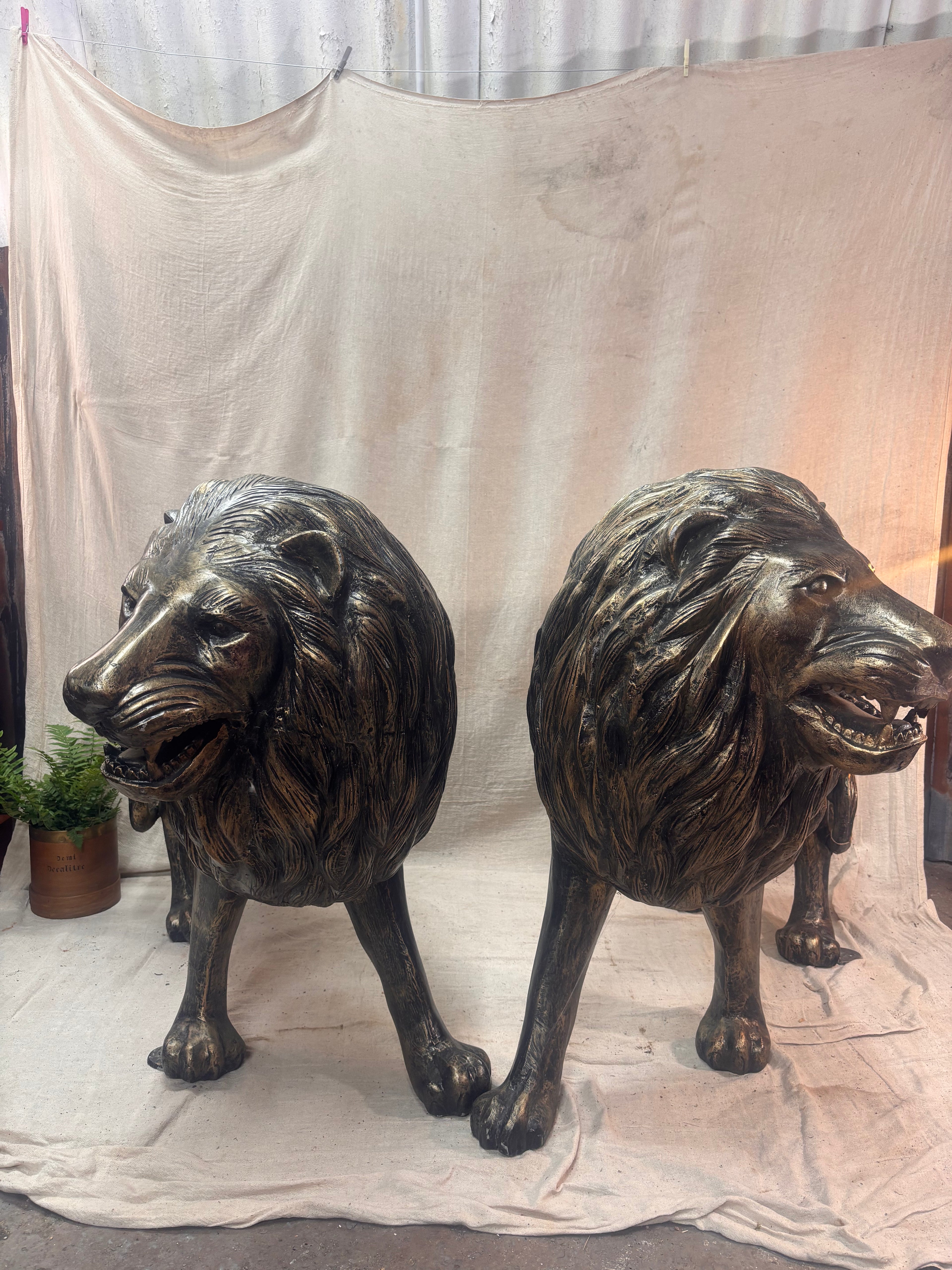 Two bronze lion statues on a plain background