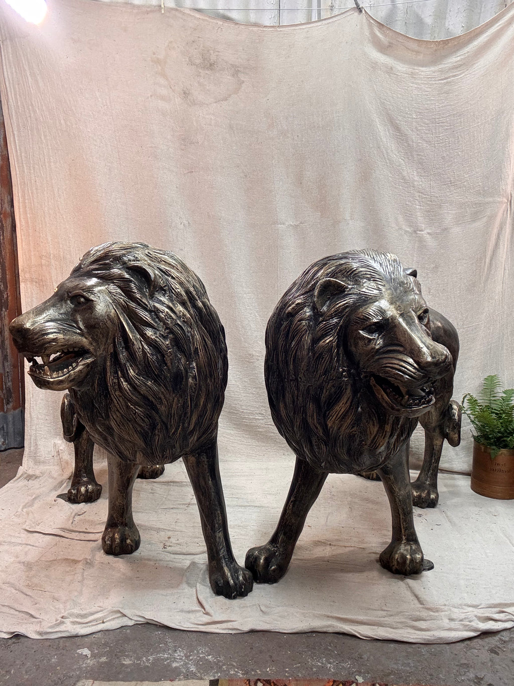 Two bronze lion statues on a plain background