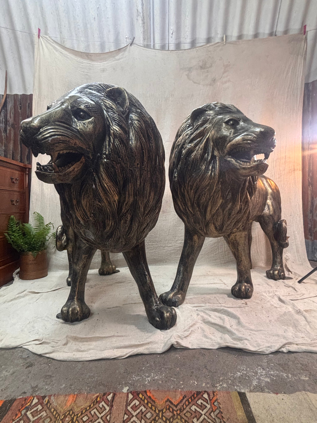 Two large bronze lion statues on a white sheet with a plain background