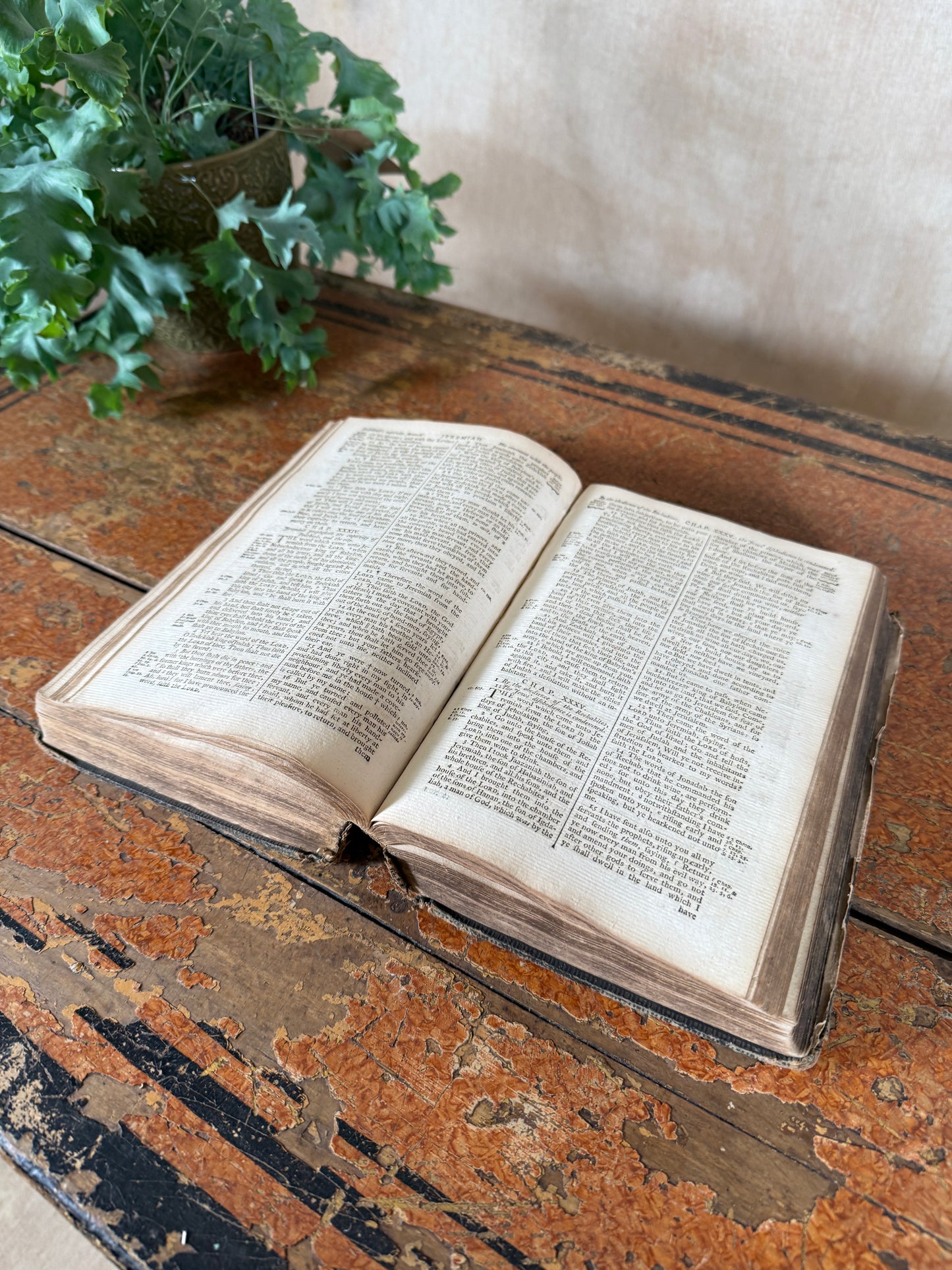 Open book on a rustic wooden surface with a plant in the background