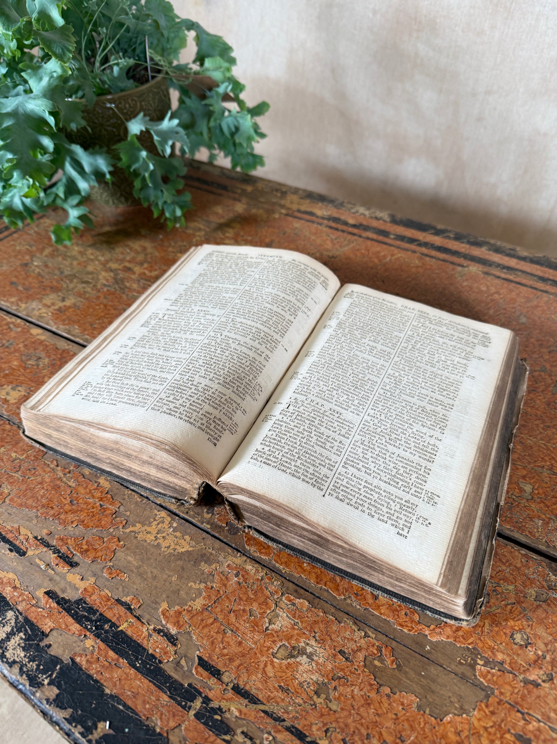 Open book on a rustic wooden surface with a plant in the background