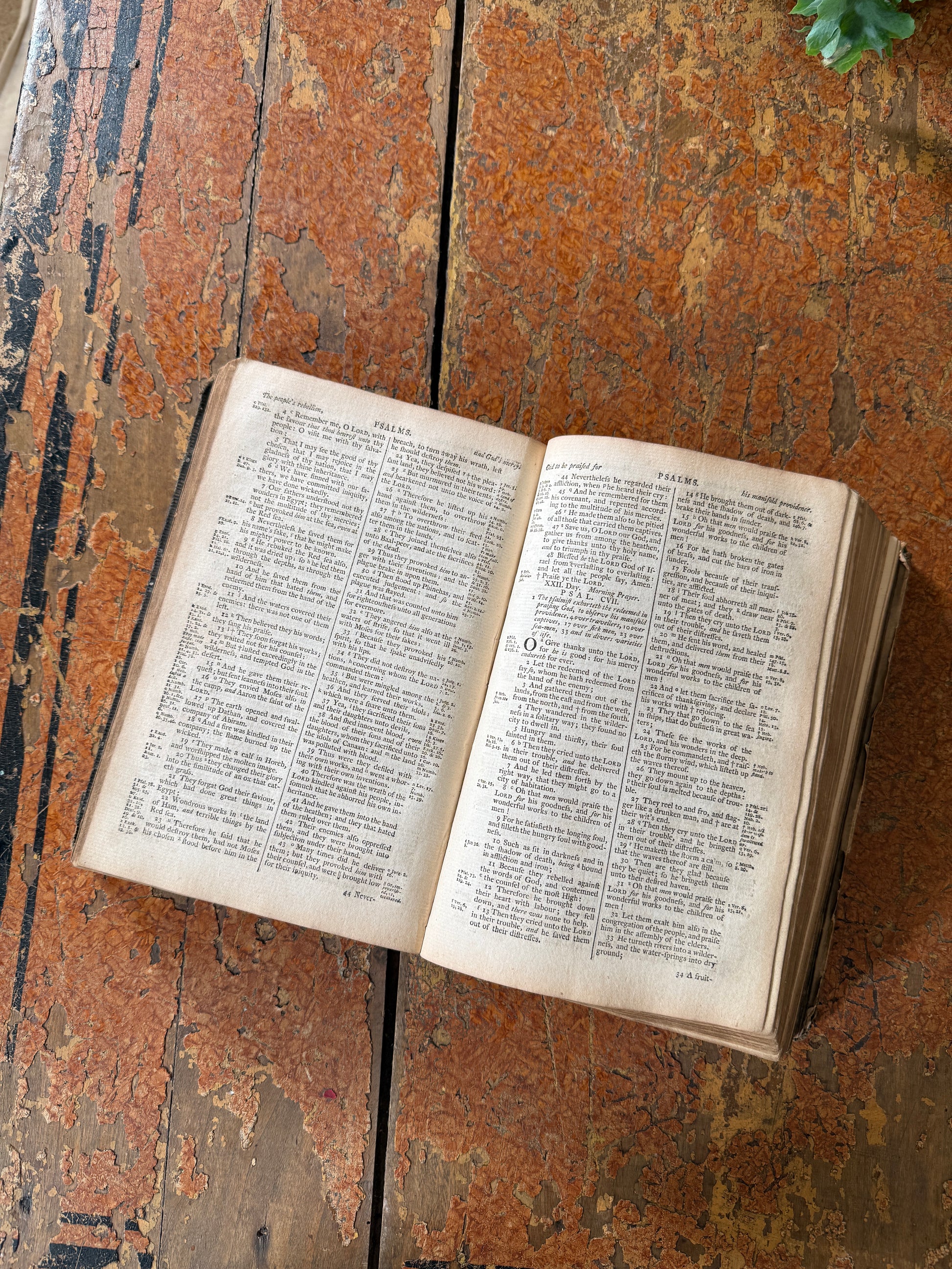 Open book on a textured wooden surface