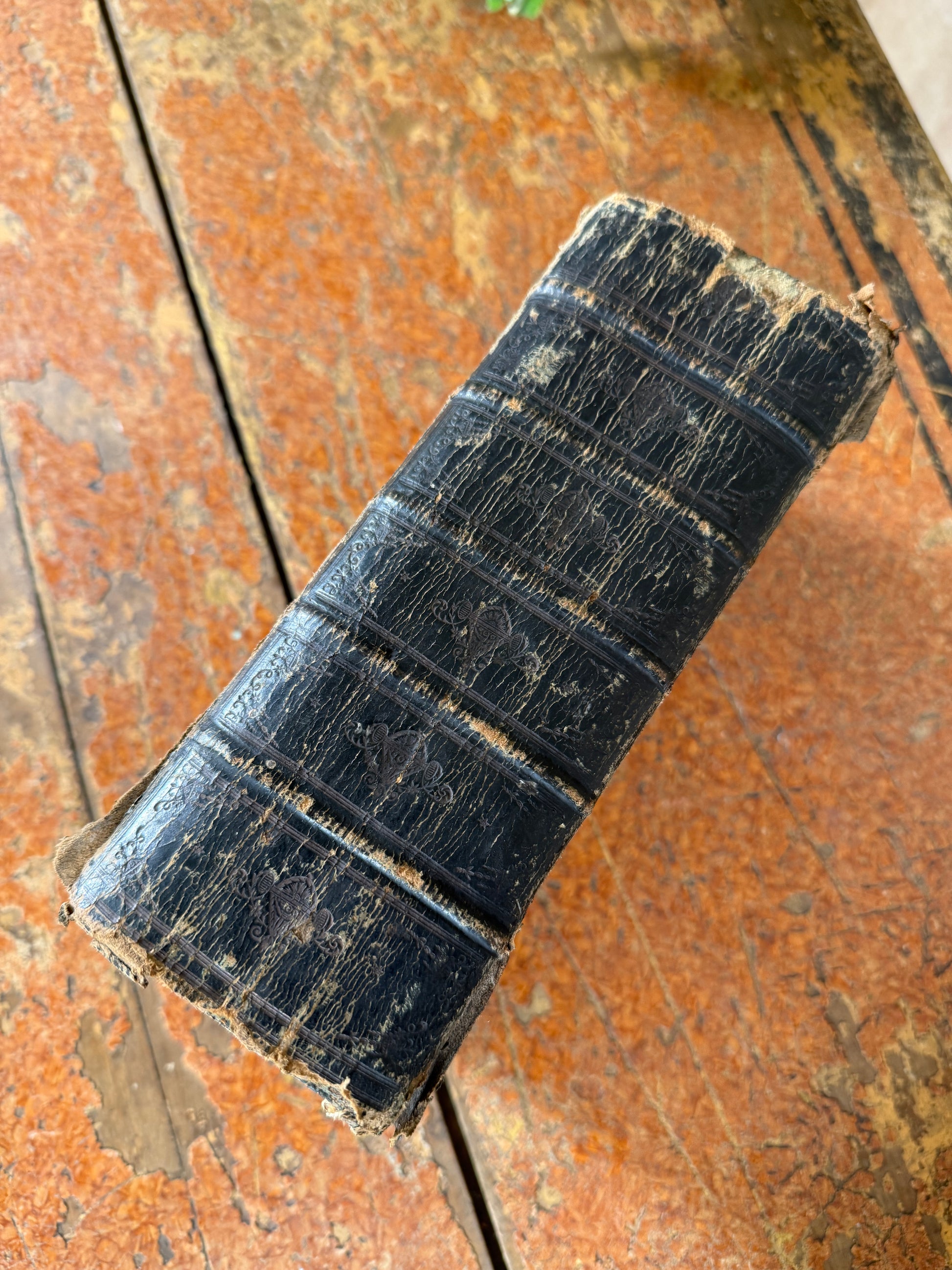 King James Bible spine