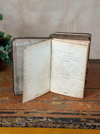 Open book on a textured surface with a plant in the foreground