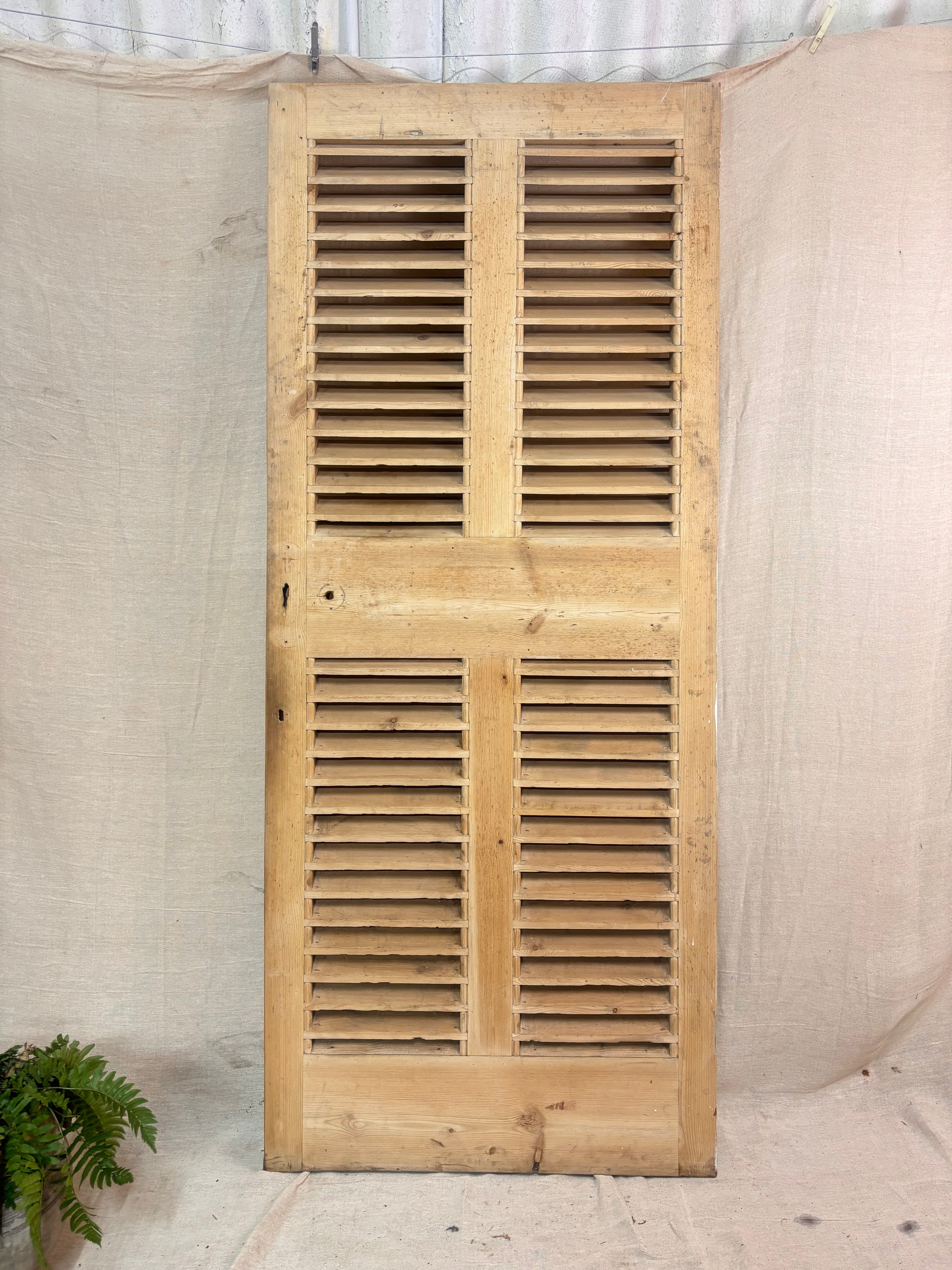 a Wooden Louvered Door against a cream backdrop