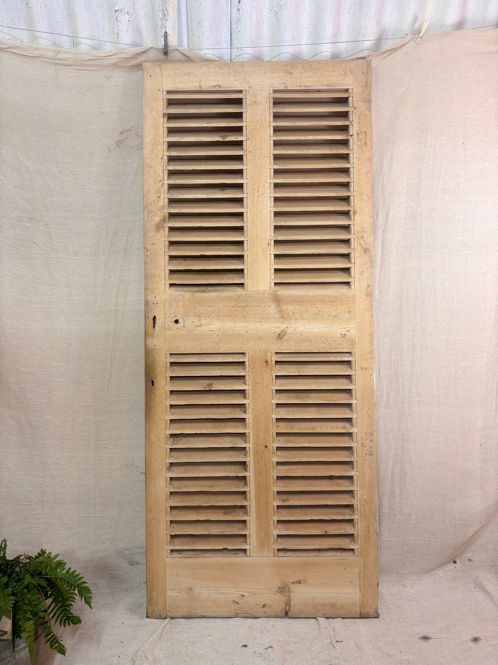 a Wooden Louvered Door against a cream backdrop