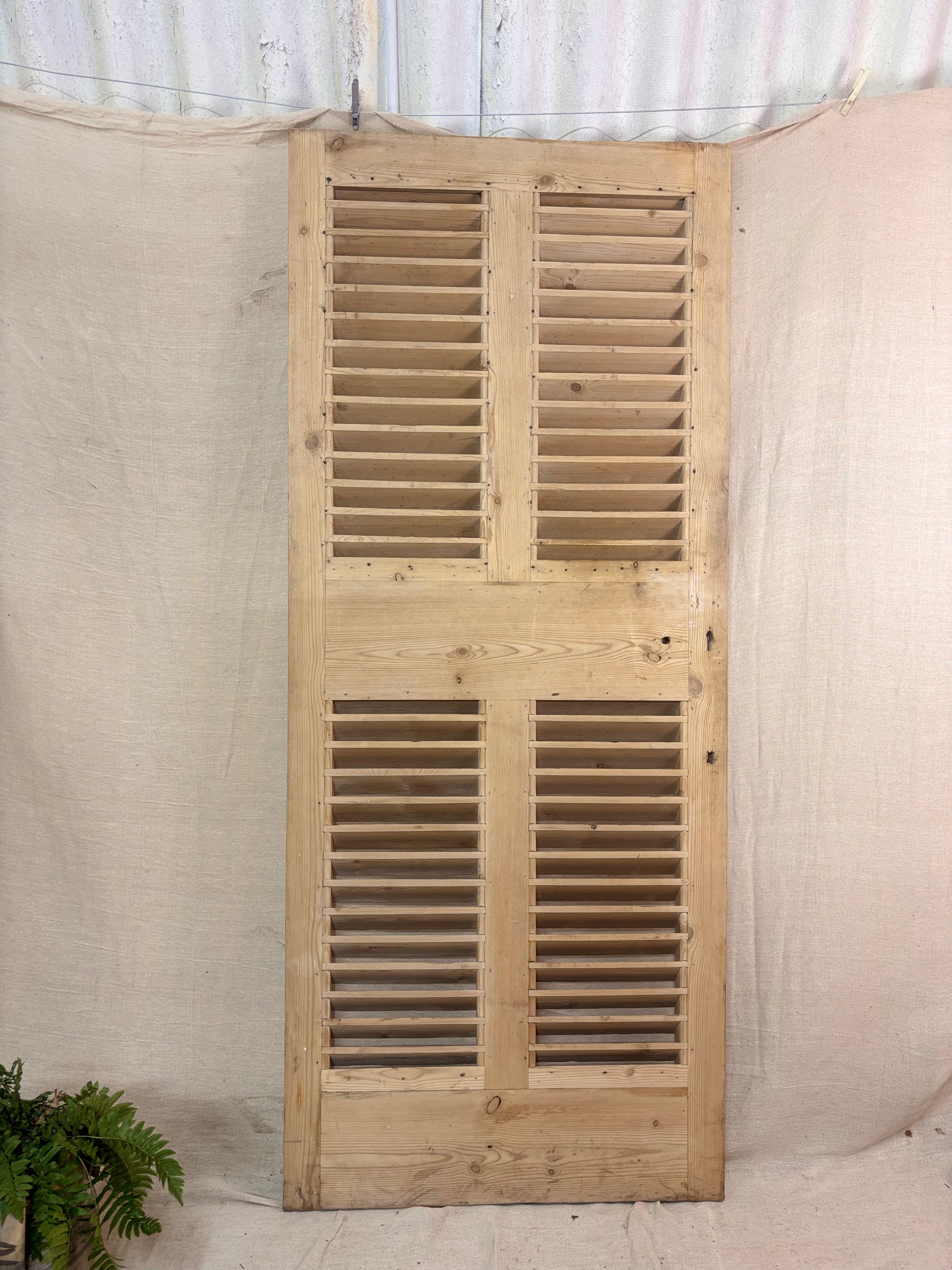 a Wooden Louvered Door against a cream backdrop