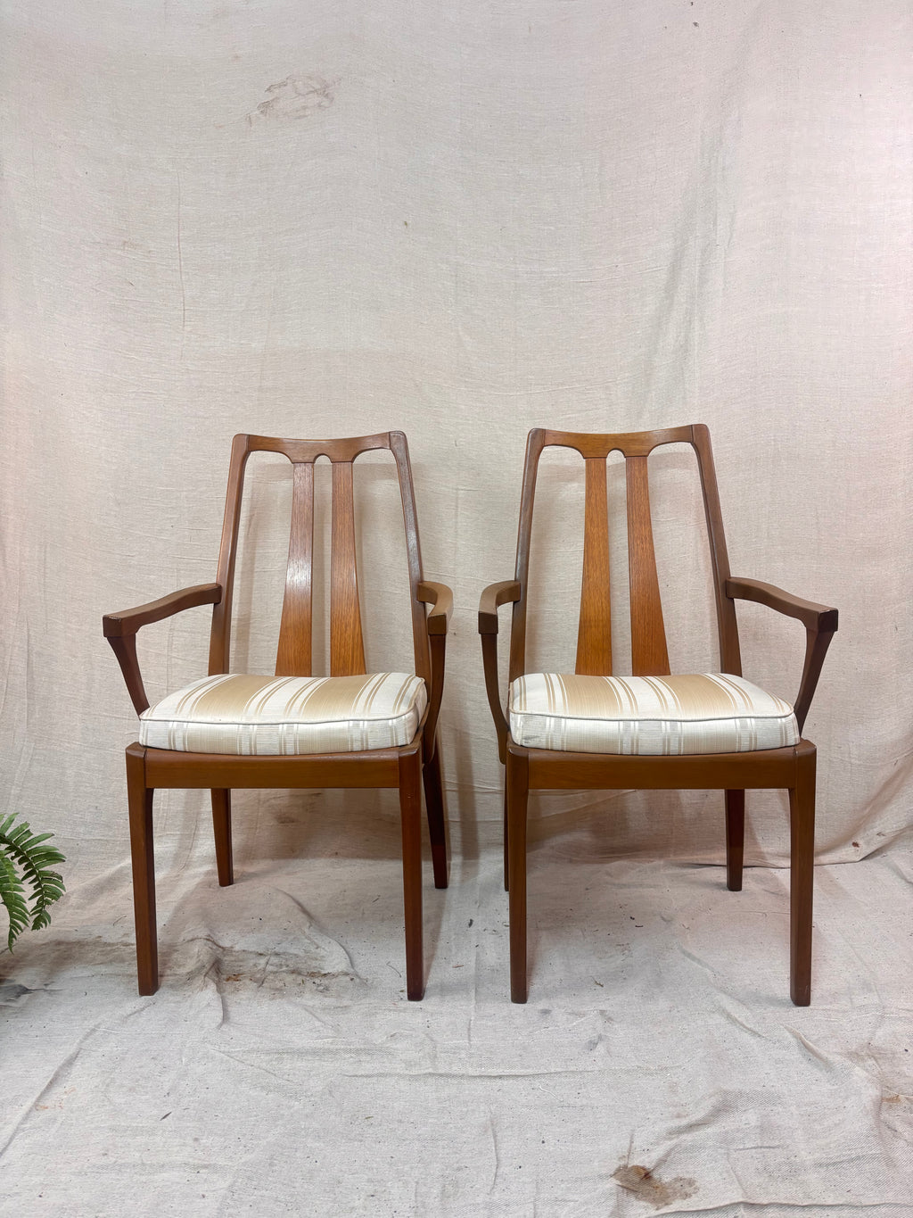 a pair of wooden dining chairs with arms and upholstered seats on a cream background