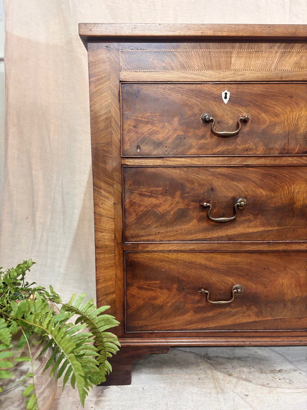 Wooden dresser with brass handles next to a plant